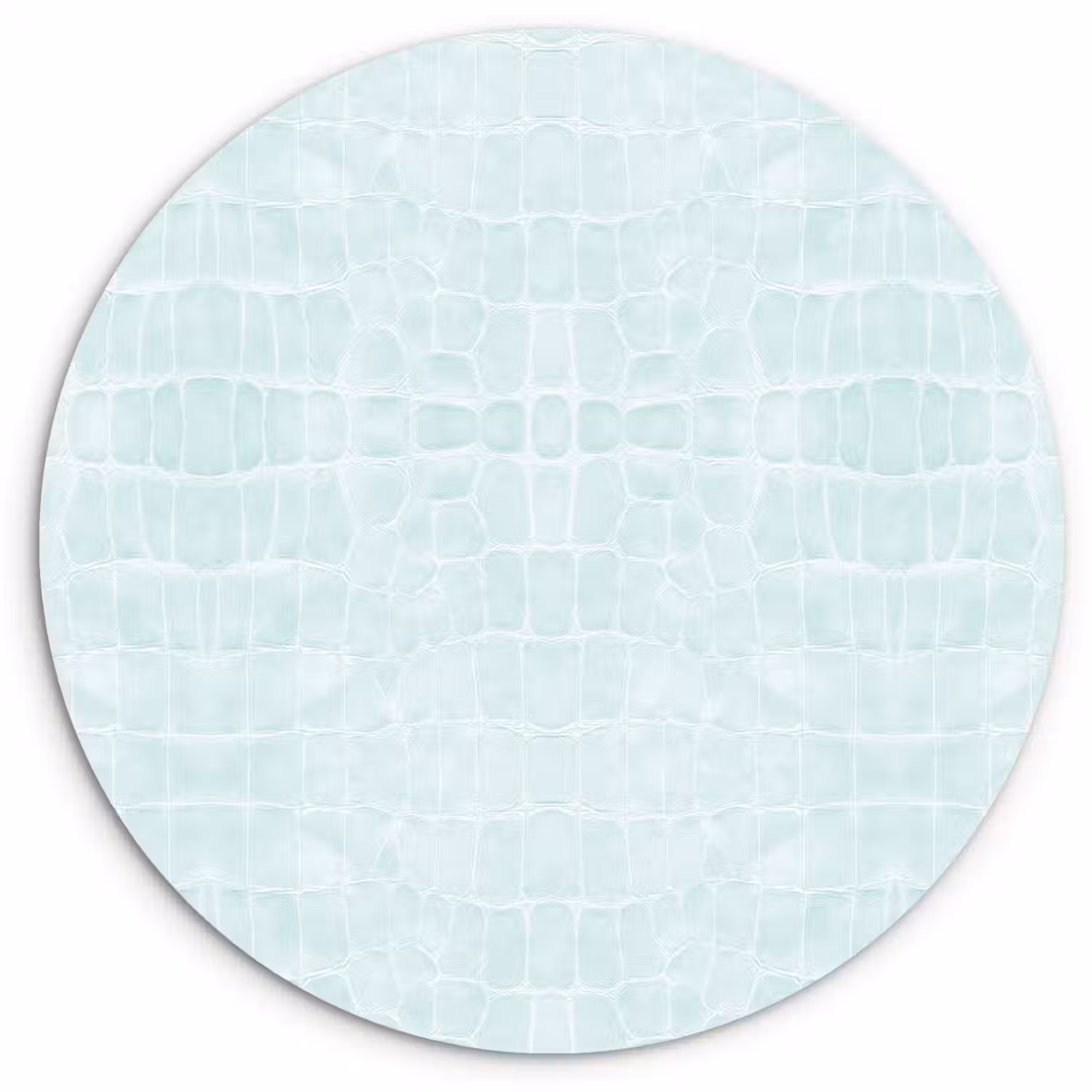Krokodil - Leer - Mint - Groen Wandcirkel plexiglas klein 852 -3d