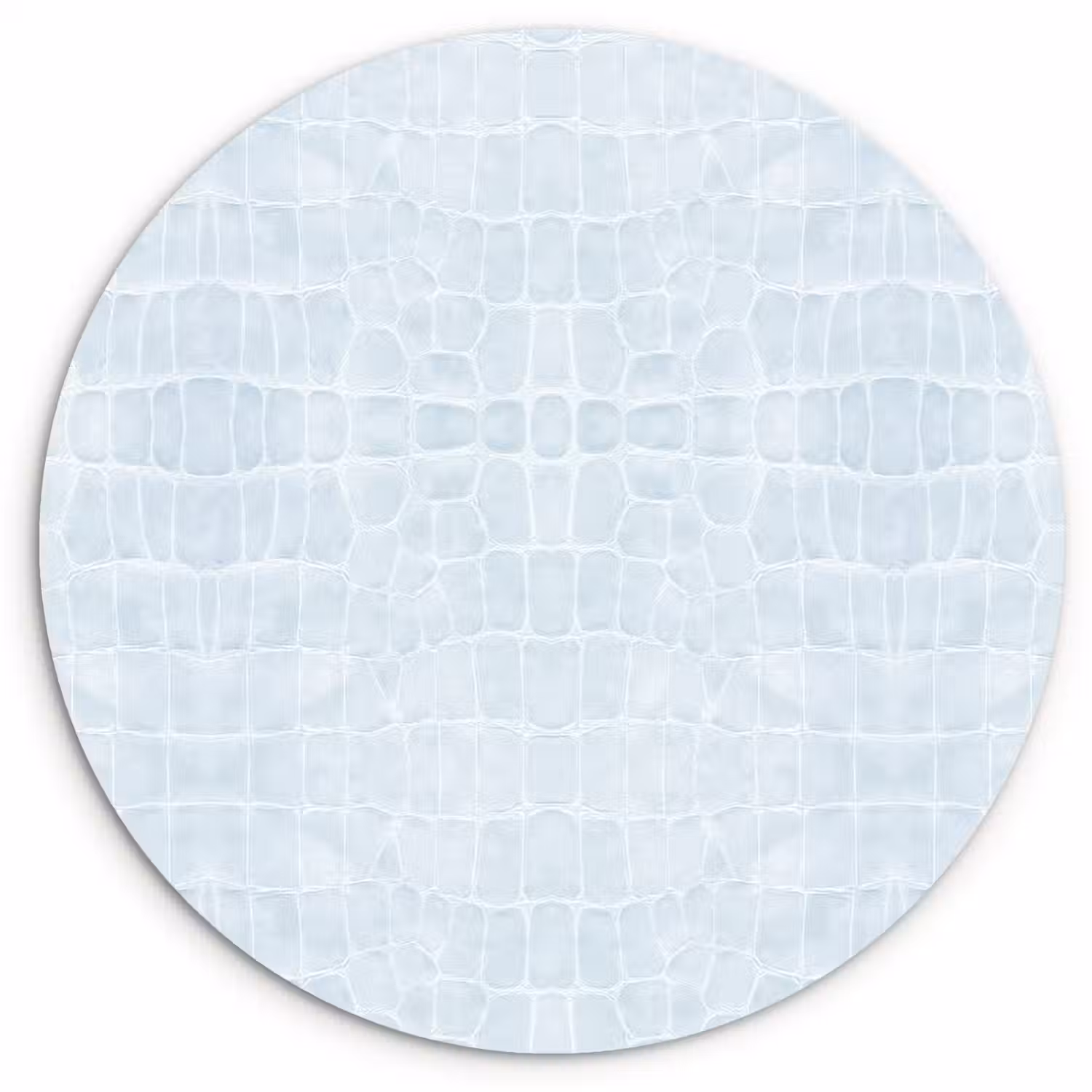 Krokodil - Leer - Pastel - Blauw Wandcirkel plexiglas klein 852 -3d