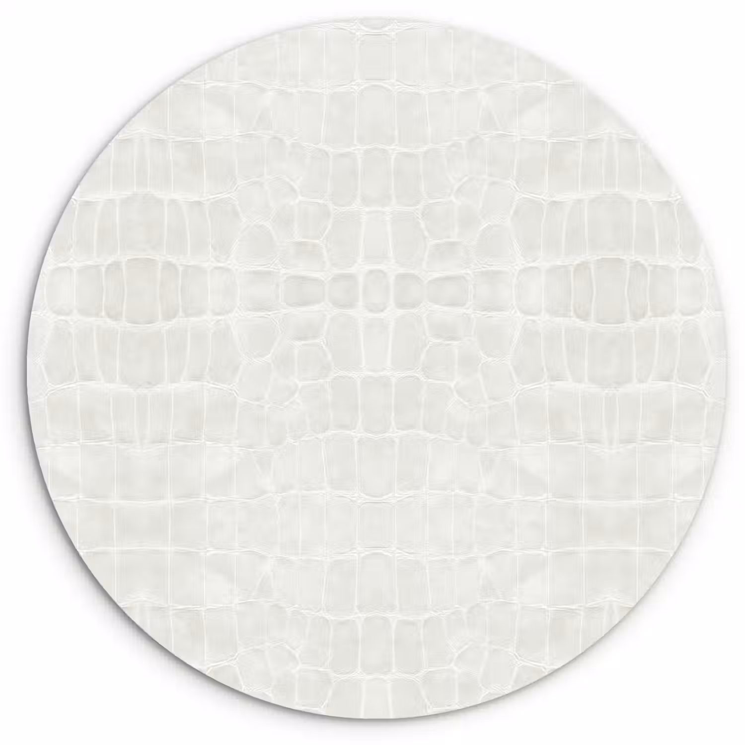 Krokodil - Leer - Wit Wandcirkel plexiglas klein 852 -3d