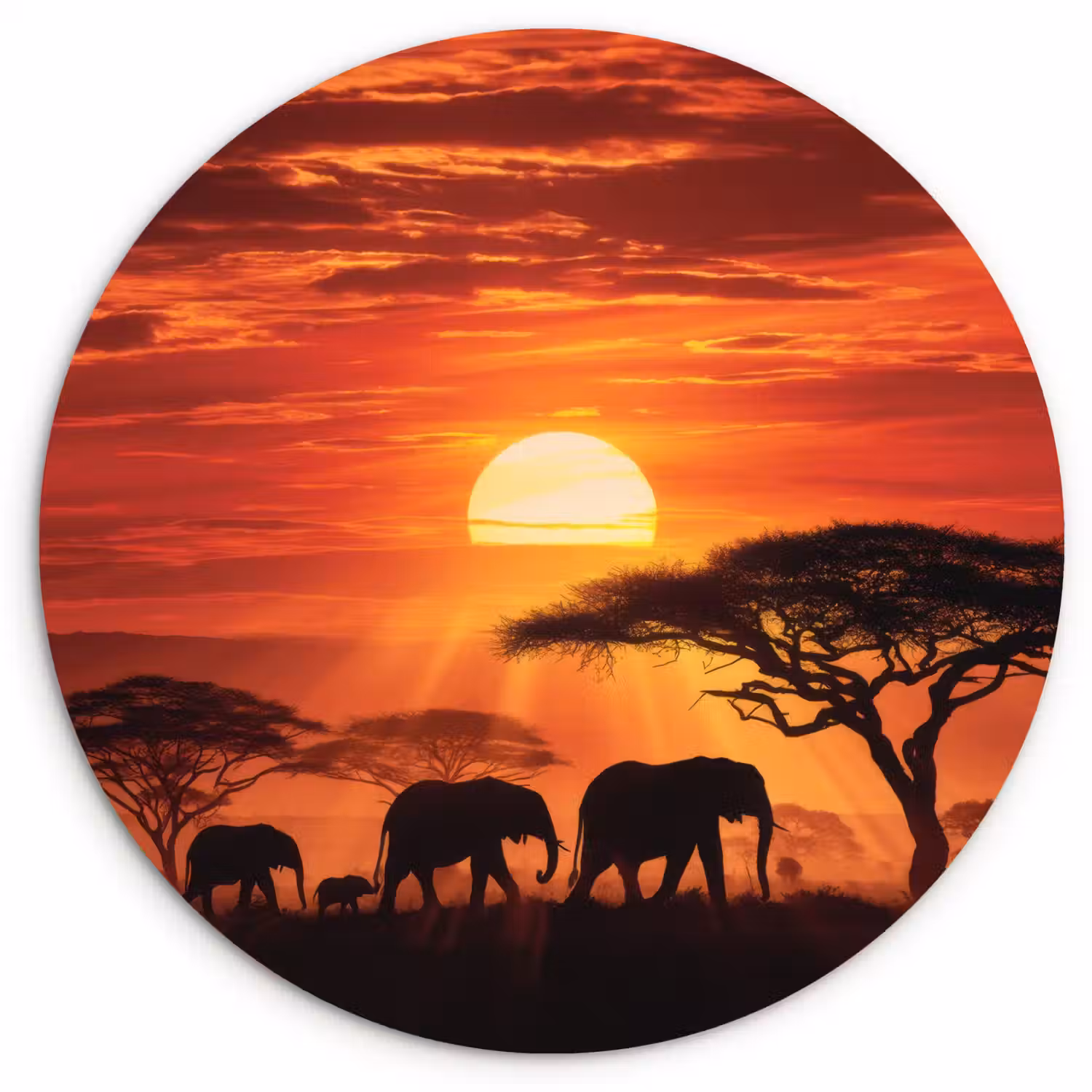 Savanne - Olifanten - Zonsondergang Wandcirkel plexiglas klein -3d