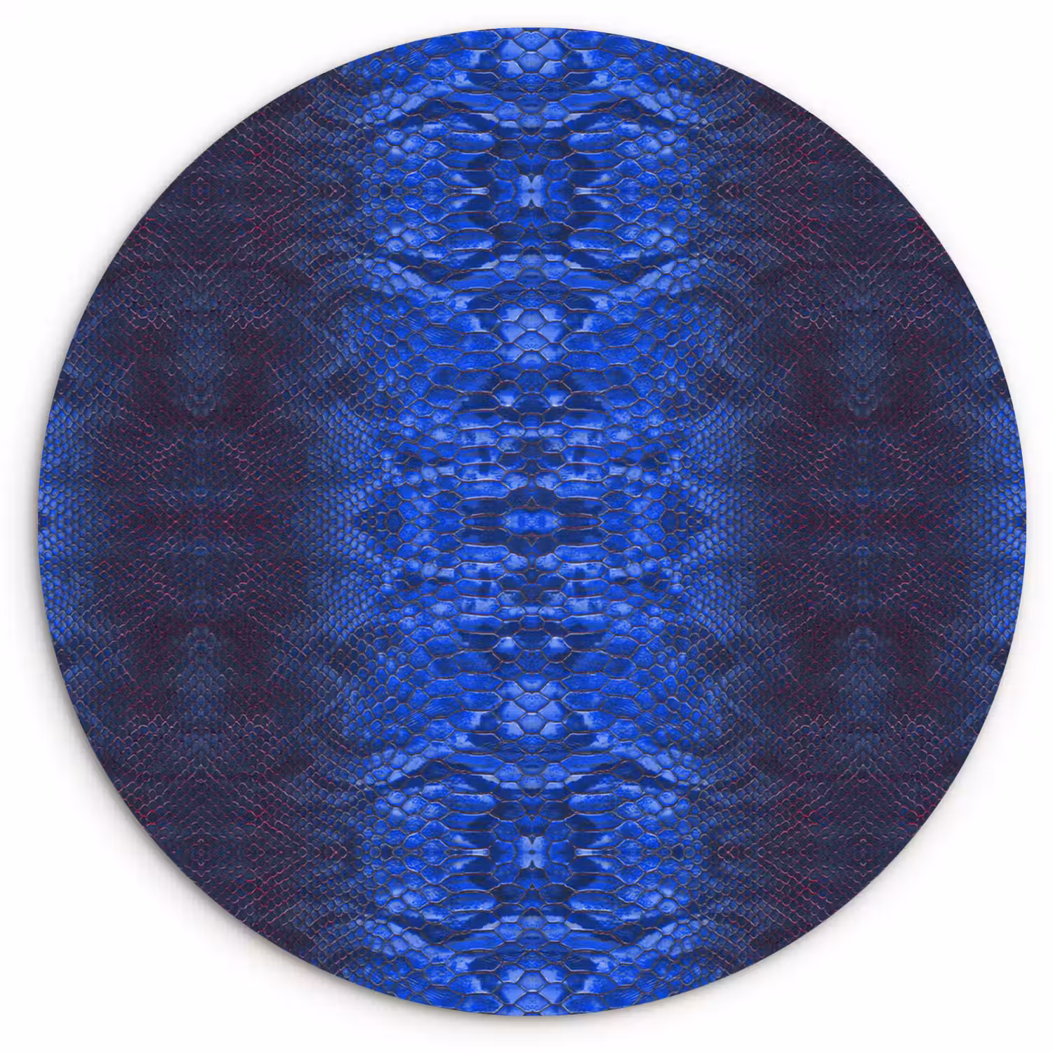 Slang - Boa - Blauw - Rood Wandcirkel plexiglas klein 852 -3d