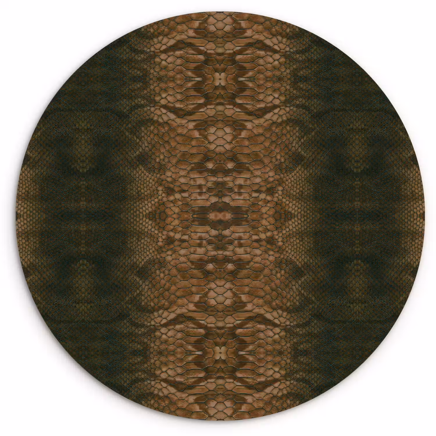 Slang - Boa - Bruin Wandcirkel plexiglas klein 852 -3d