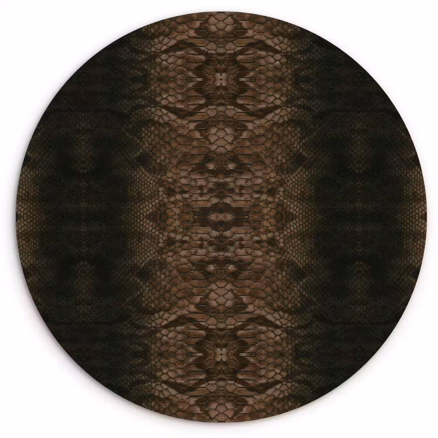 Slang - Boa - Donker - Bruin Wandcirkel plexiglas klein 852 -3d