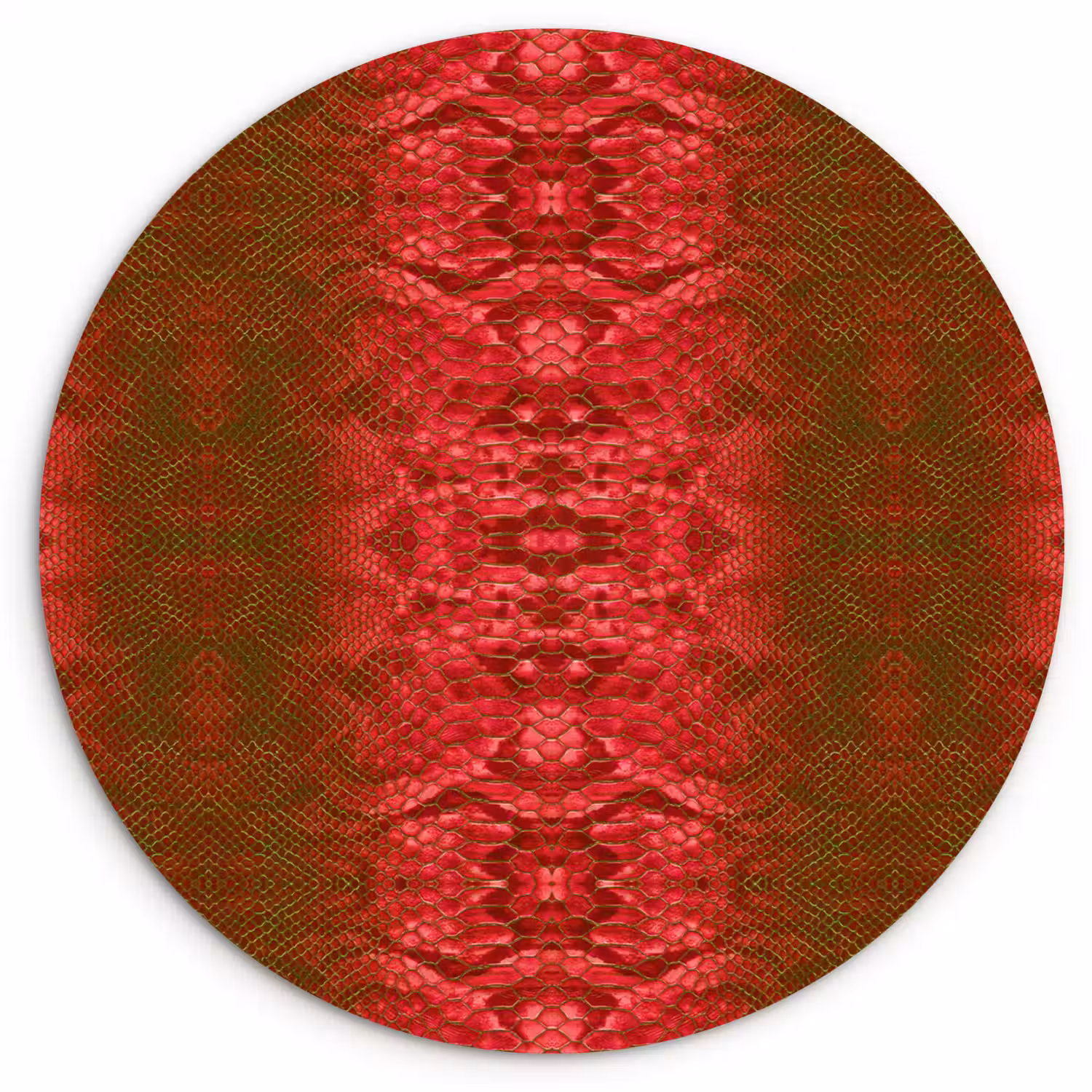 Slang - Boa - Rood -Groen Wandcirkel plexiglas klein 852 -3d