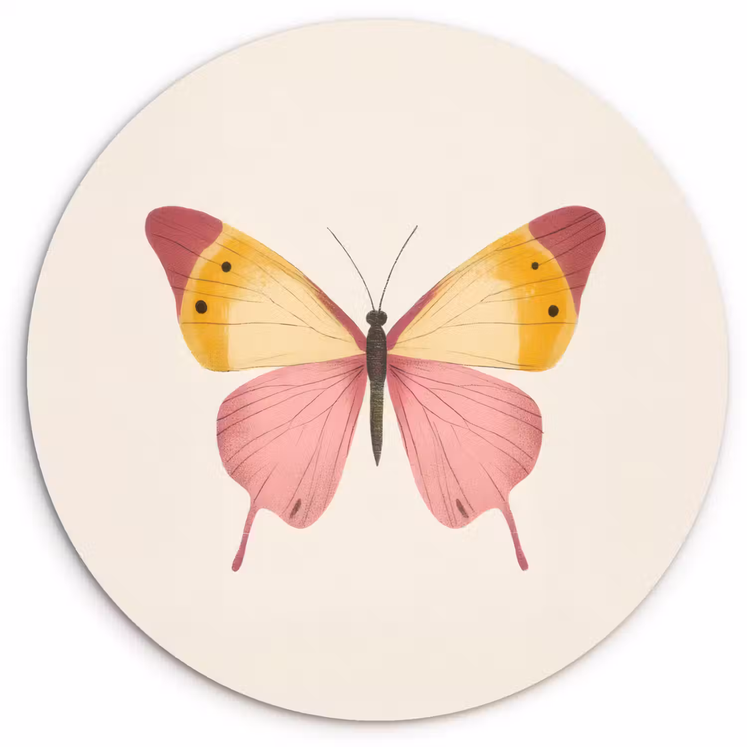 Vlinder - Illustratie - Roze Wandcirkel plexiglas klein -3d