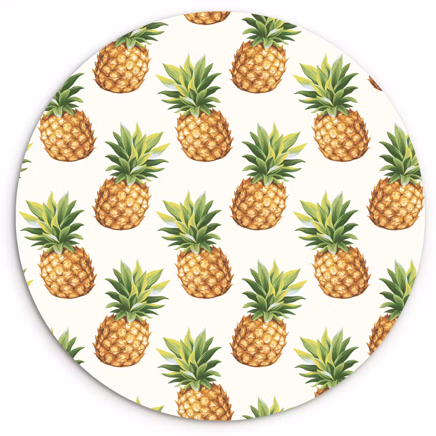 Vintage - Ananas - Blad Wandcirkel plexiglas klein 852 -3d