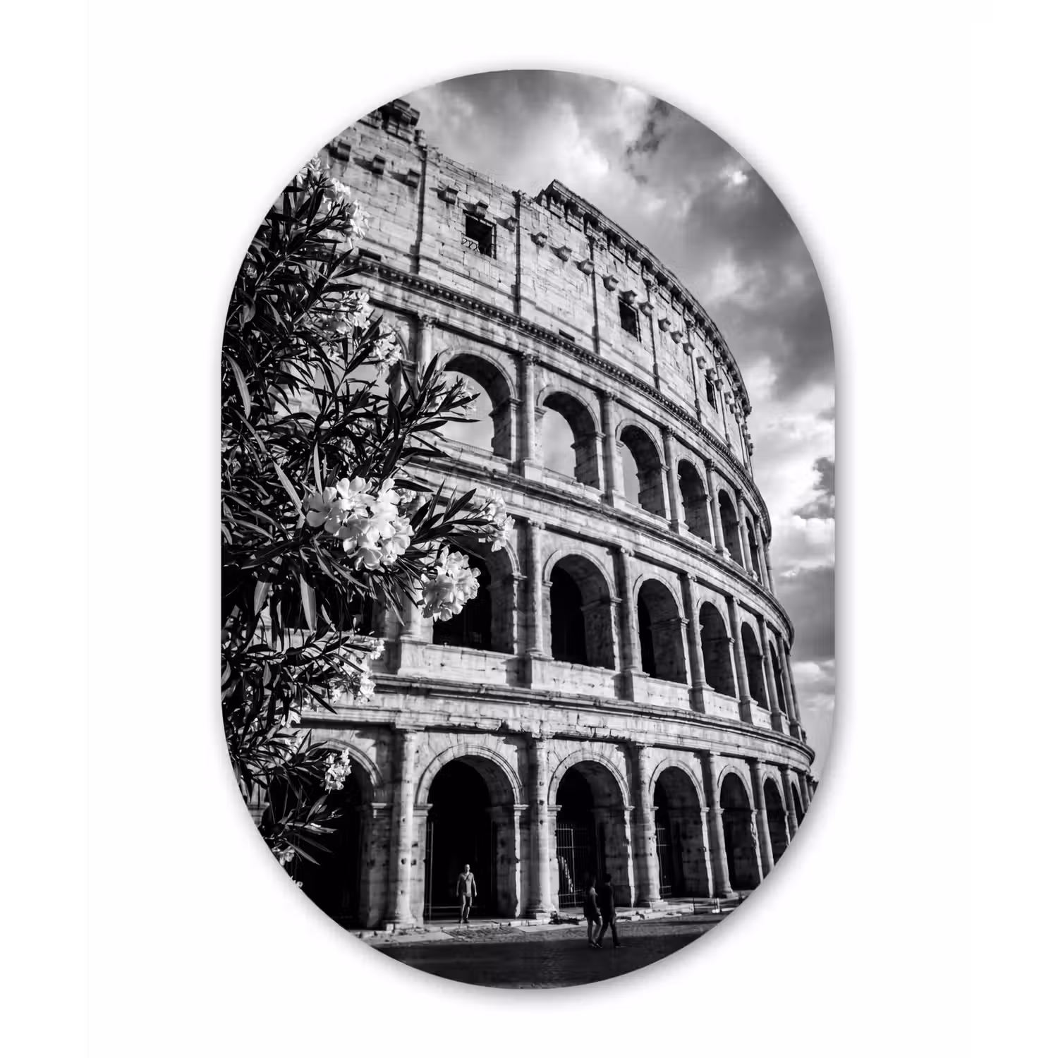 Architectuur - Colosseum - Rome - Historisch - Zwart-wit Wandcirkel Ovaal Aluminium middel -3d