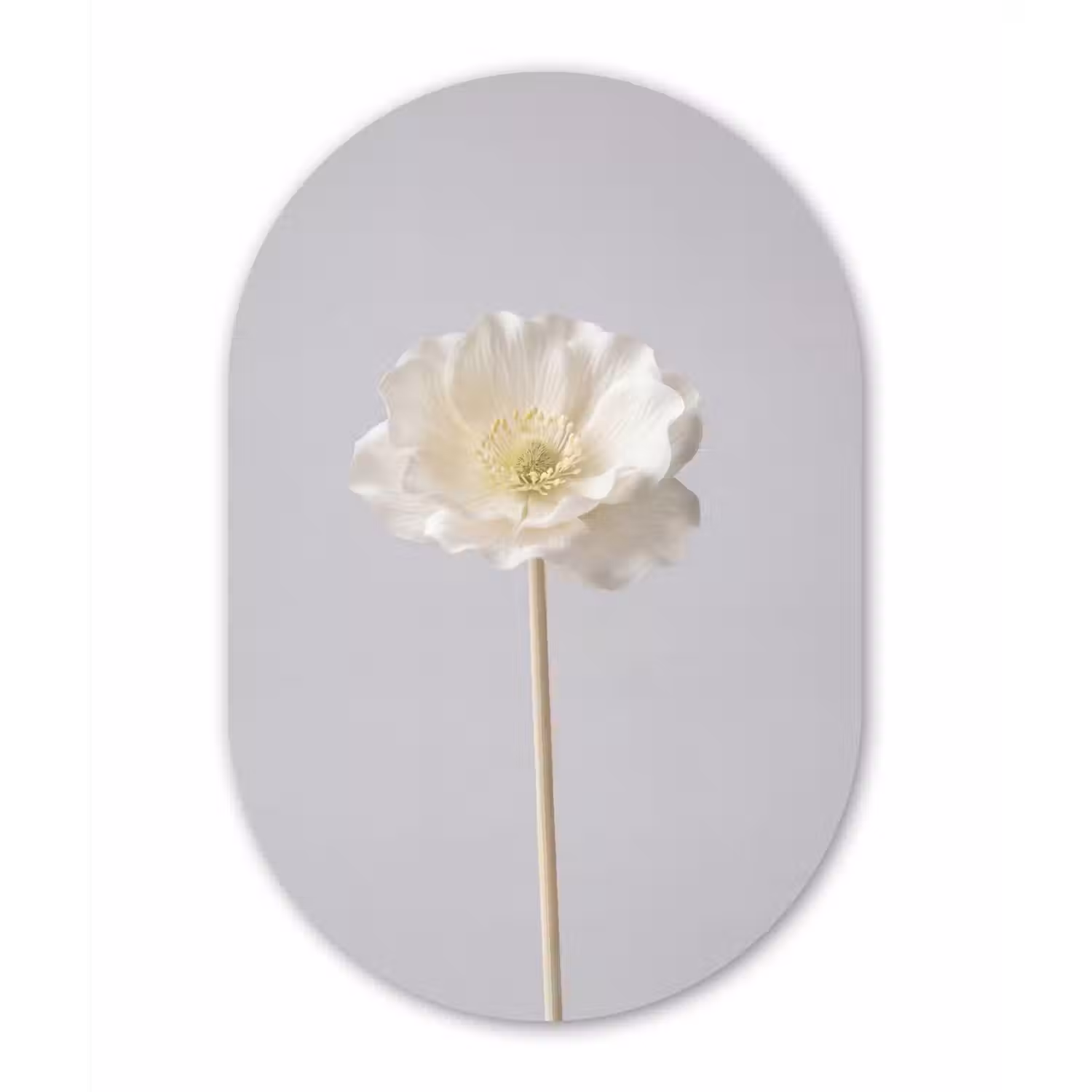 Bloem - Minimalistisch -Wit Wandcirkel Ovaal Aluminium middel -3d