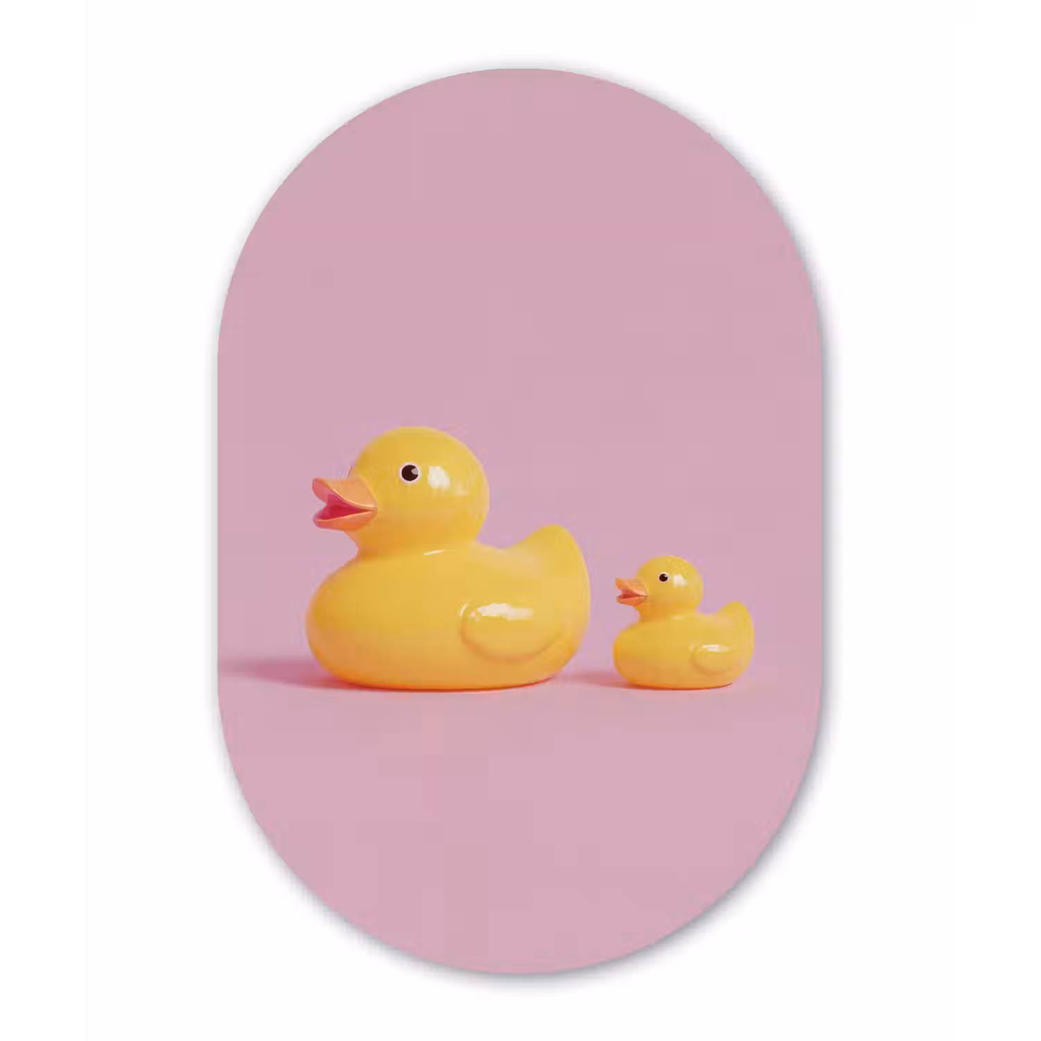 Eendjes - Vrolijk - Roze Wandcirkel Ovaal Aluminium middel -3d