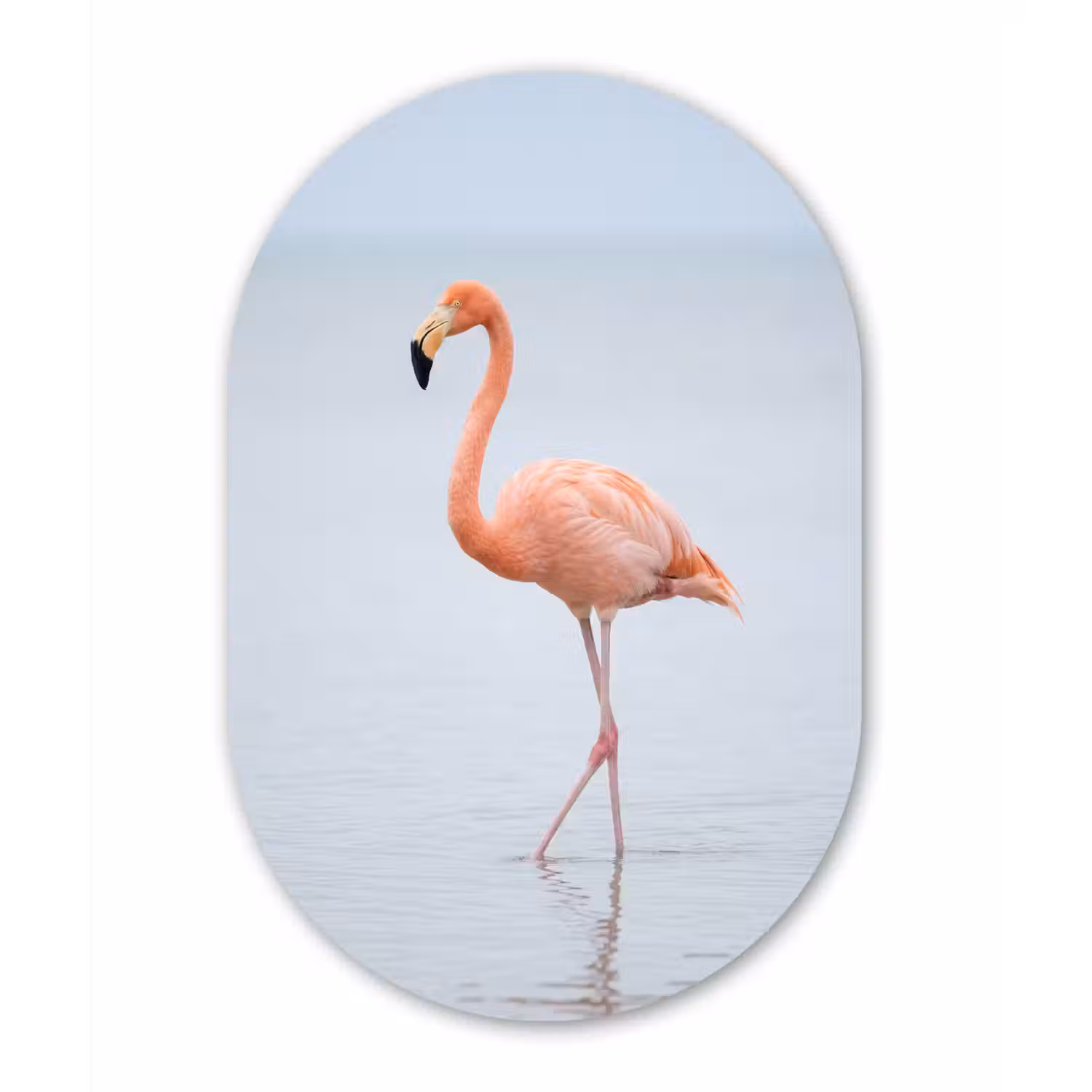 Flamingo - Zee - Roze Wandcirkel Ovaal Aluminium middel -3d
