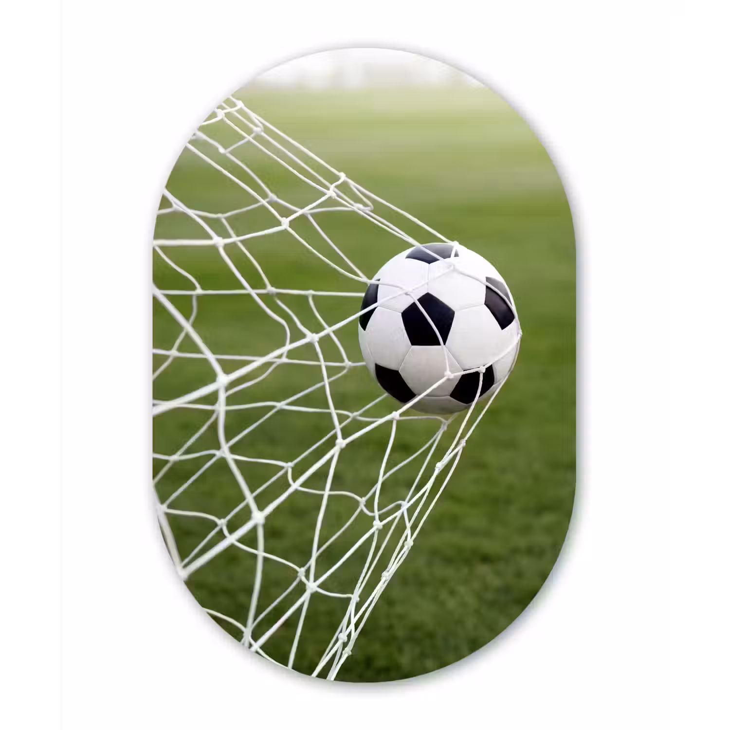 Voetbal - Goal - Net - Sport Wandcirkel Ovaal Aluminium middel -3d