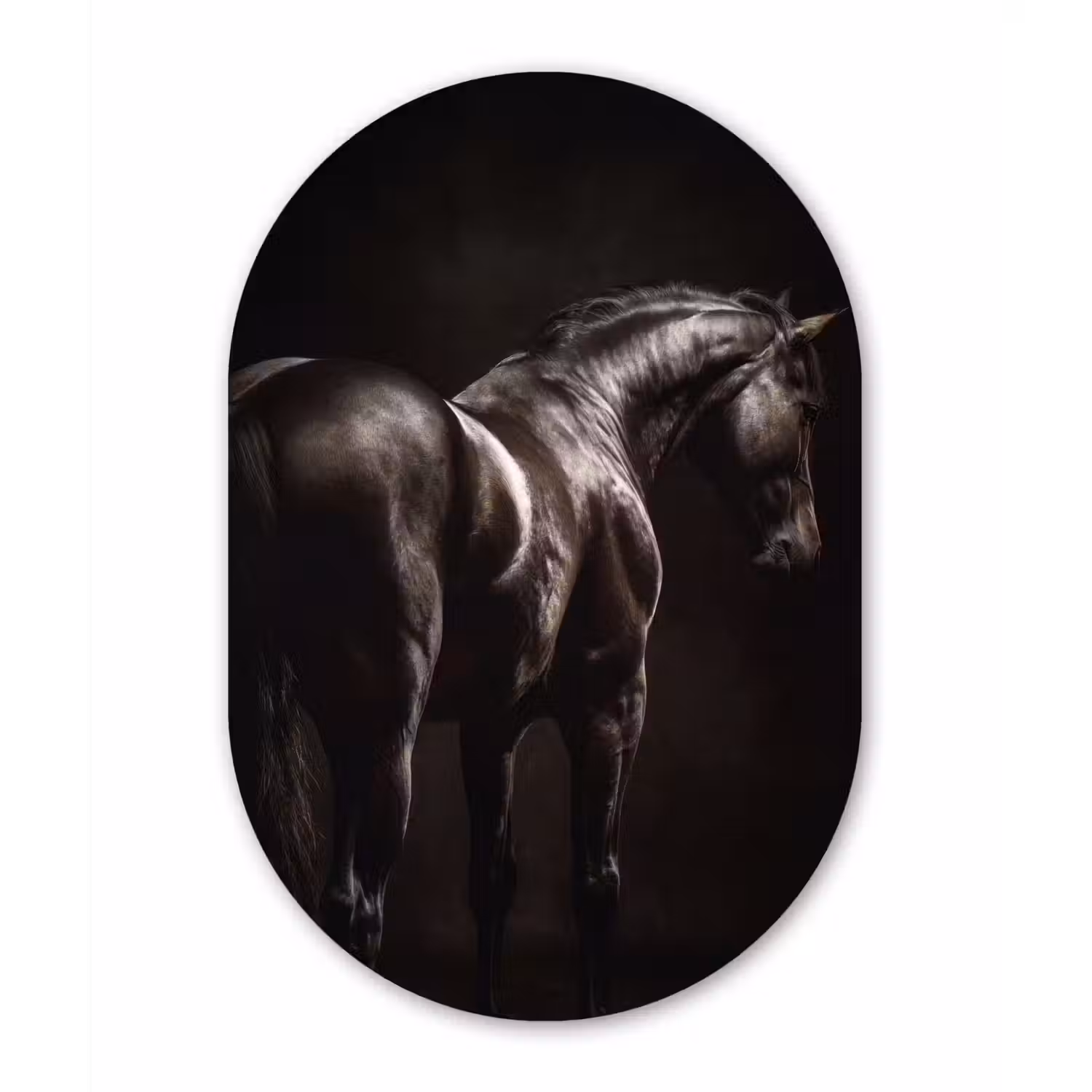 Krachtig - Paard - Donker Wandcirkel Ovaal Aluminium middel -3d