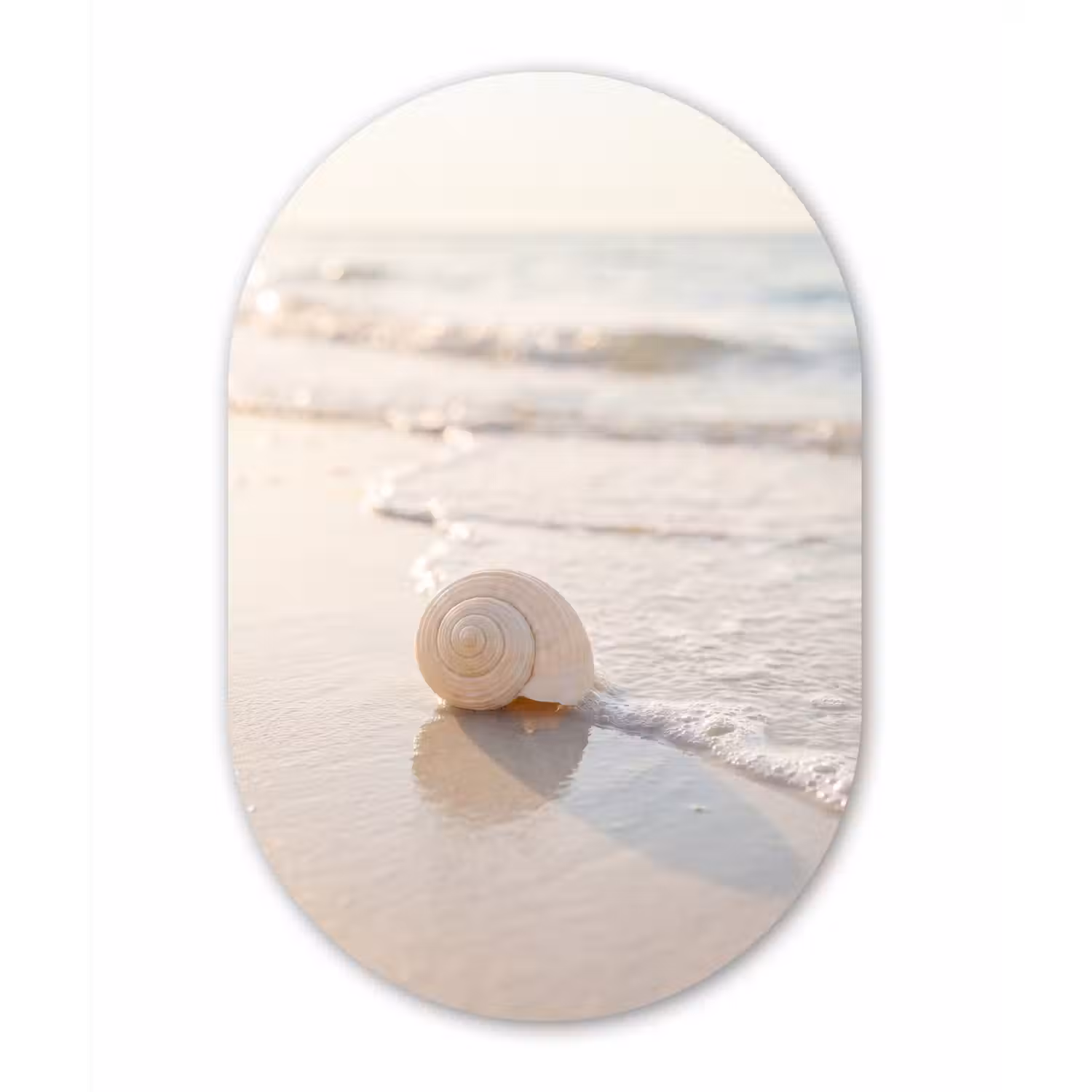 Zeeschelp - Strand - Zee - Natuur - Beige Wandcirkel Ovaal Aluminium middel -3d