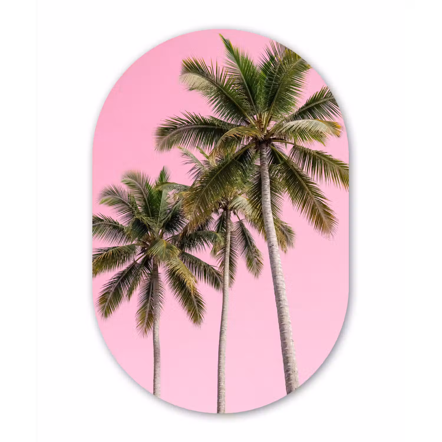 Palmboom - Tropisch - Pink Wandcirkel Ovaal Aluminium middel -3d
