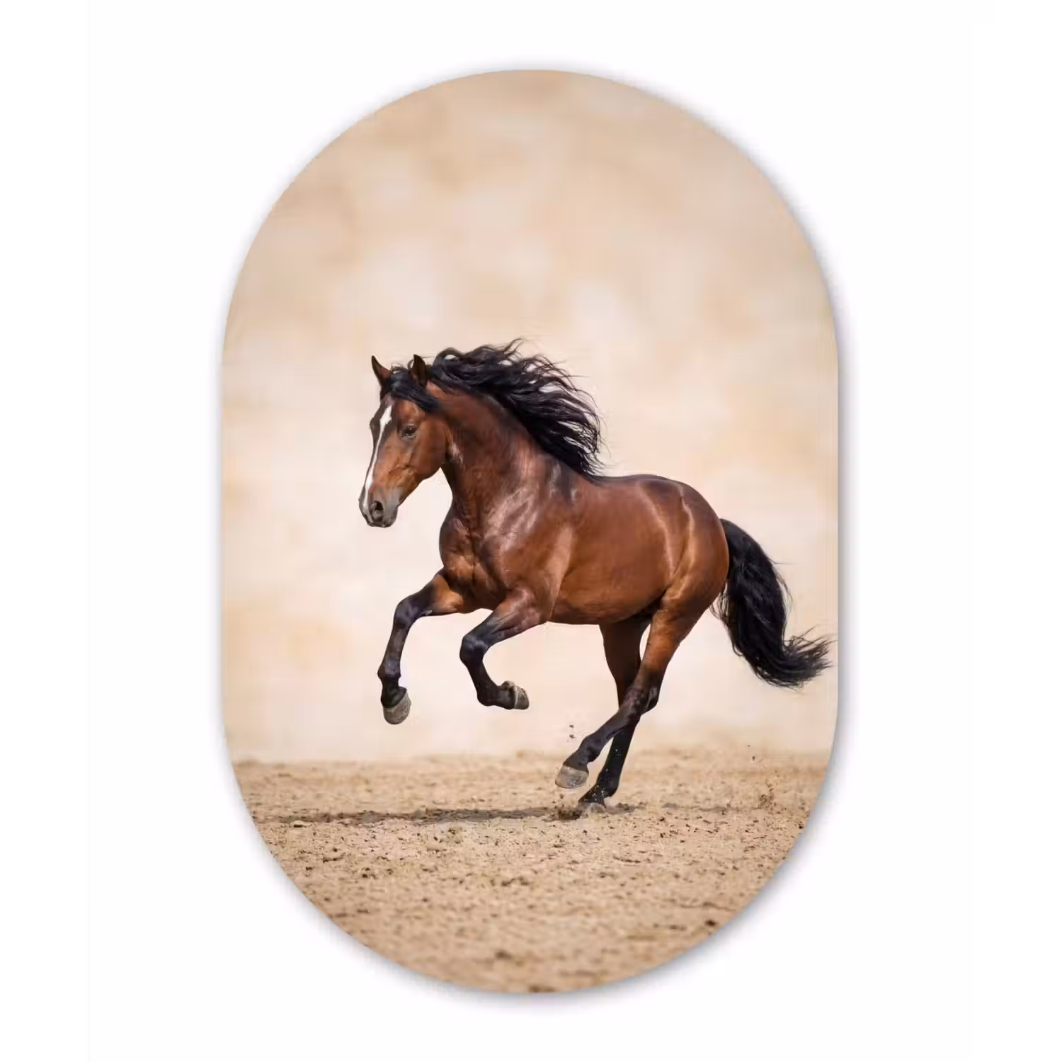Paard - Galop - Energie Wandcirkel Ovaal Aluminium middel -3d