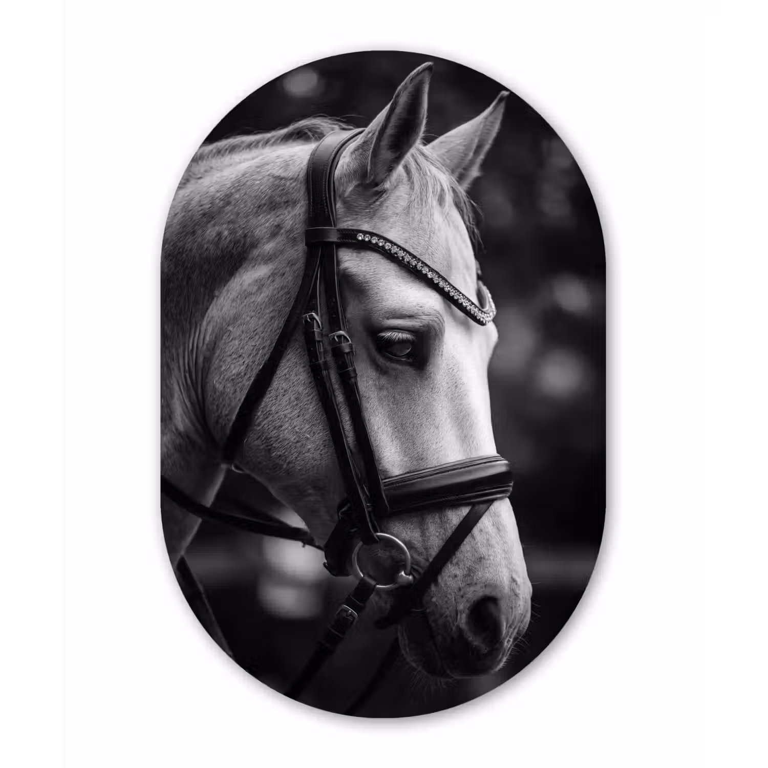 Paard - Schimmel - Portret Wandcirkel Ovaal Aluminium middel -3d