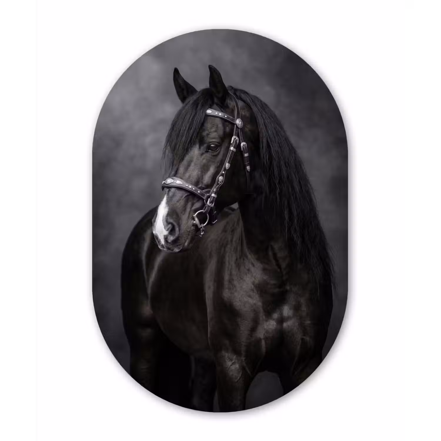 Portret - Paard - Zwart Wandcirkel Ovaal Aluminium middel -3d