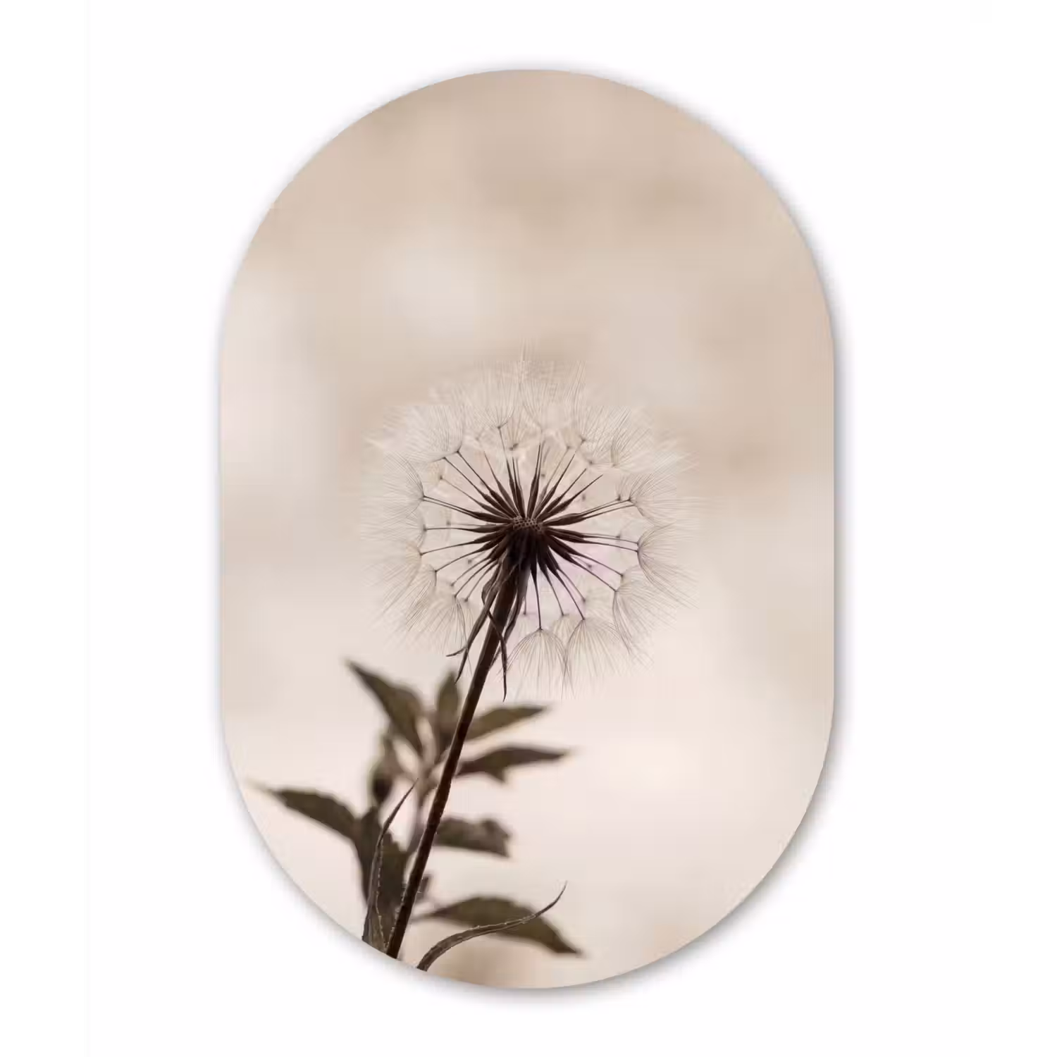 Paardenbloem - Minimalistisch - Wit Wandcirkel Ovaal Aluminium middel -3d