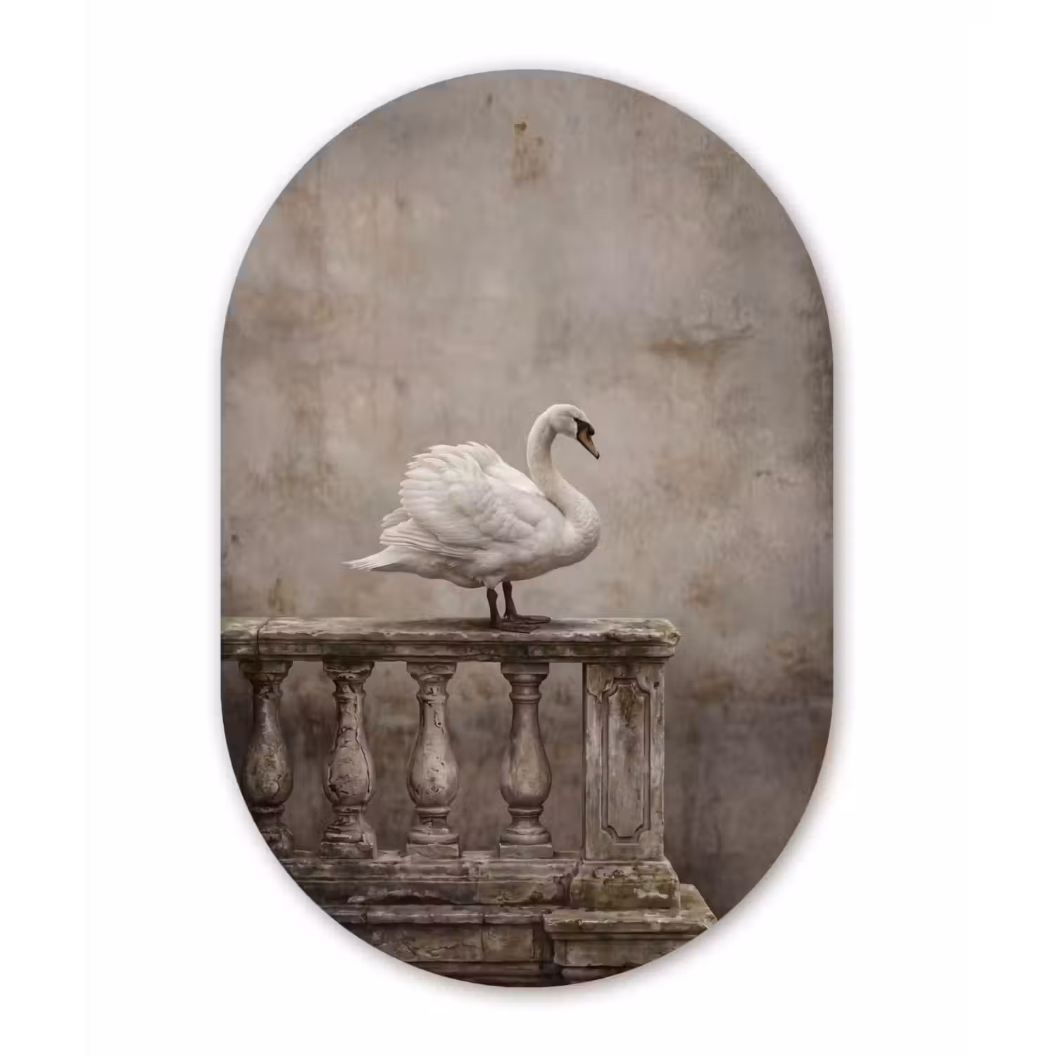 Zwaan - Elegant - Dieren - Wit Wandcirkel Ovaal Aluminium middel -3d