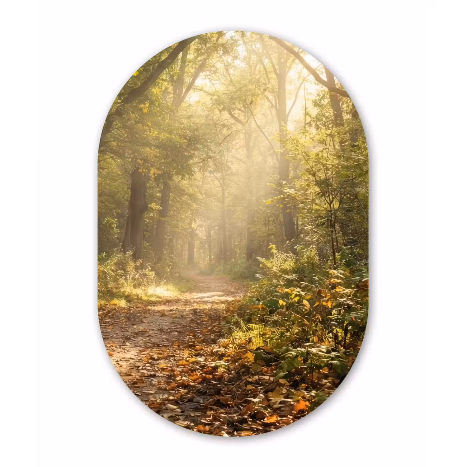 Zonlicht - Bospad - Bomen Wandcirkel Ovaal Aluminium middel -3d