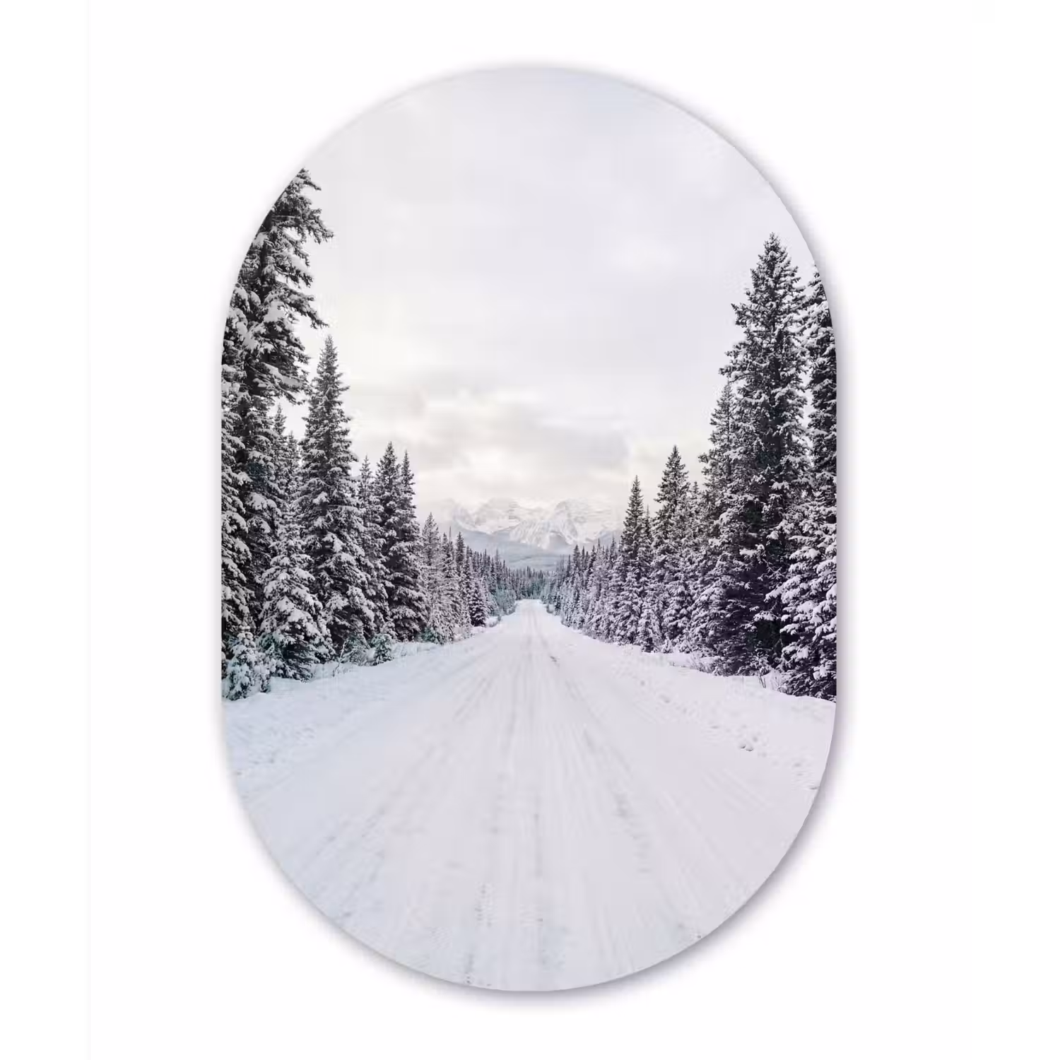 Weg - Sneeuw - Naaldbos - Winter - Avontuurlijk Wandcirkel Ovaal Aluminium middel -3d