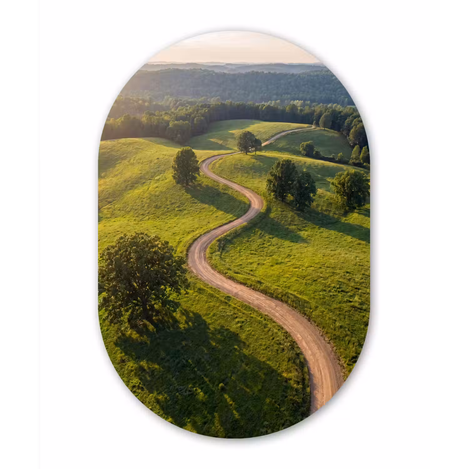 Weg - Weide - Natuur - Groen Wandcirkel Ovaal Aluminium middel -3d