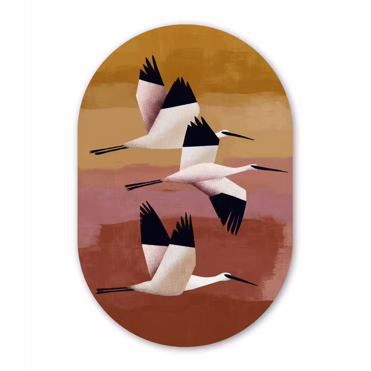 Vogels - Snavel - Abstract Wandcirkel Ovaal Aluminium middel -3d