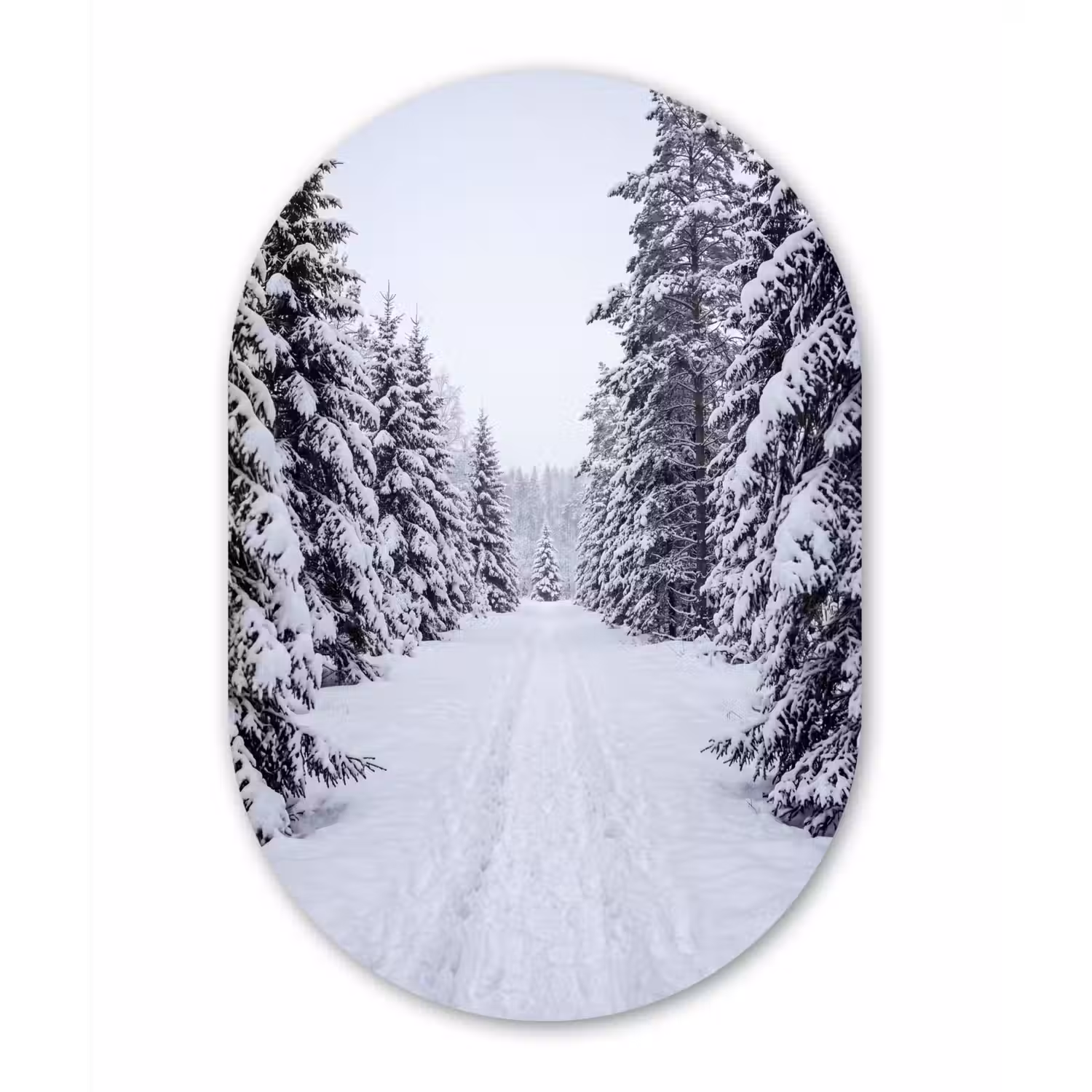 Bos - Winter - Sneeuw - Pad - Natuur Wandcirkel Ovaal Aluminium middel -3d