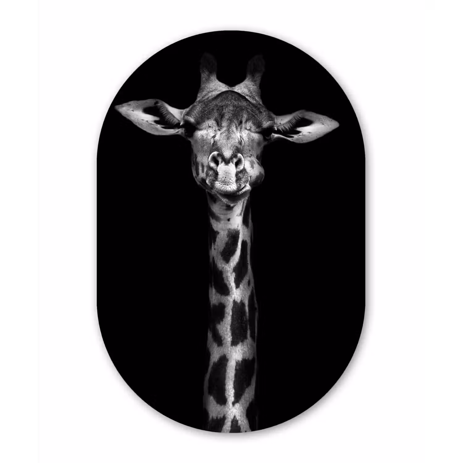 Giraffe - Portret - Dieren - Zwart - Wit Wandcirkel Ovaal Forex klein -3d