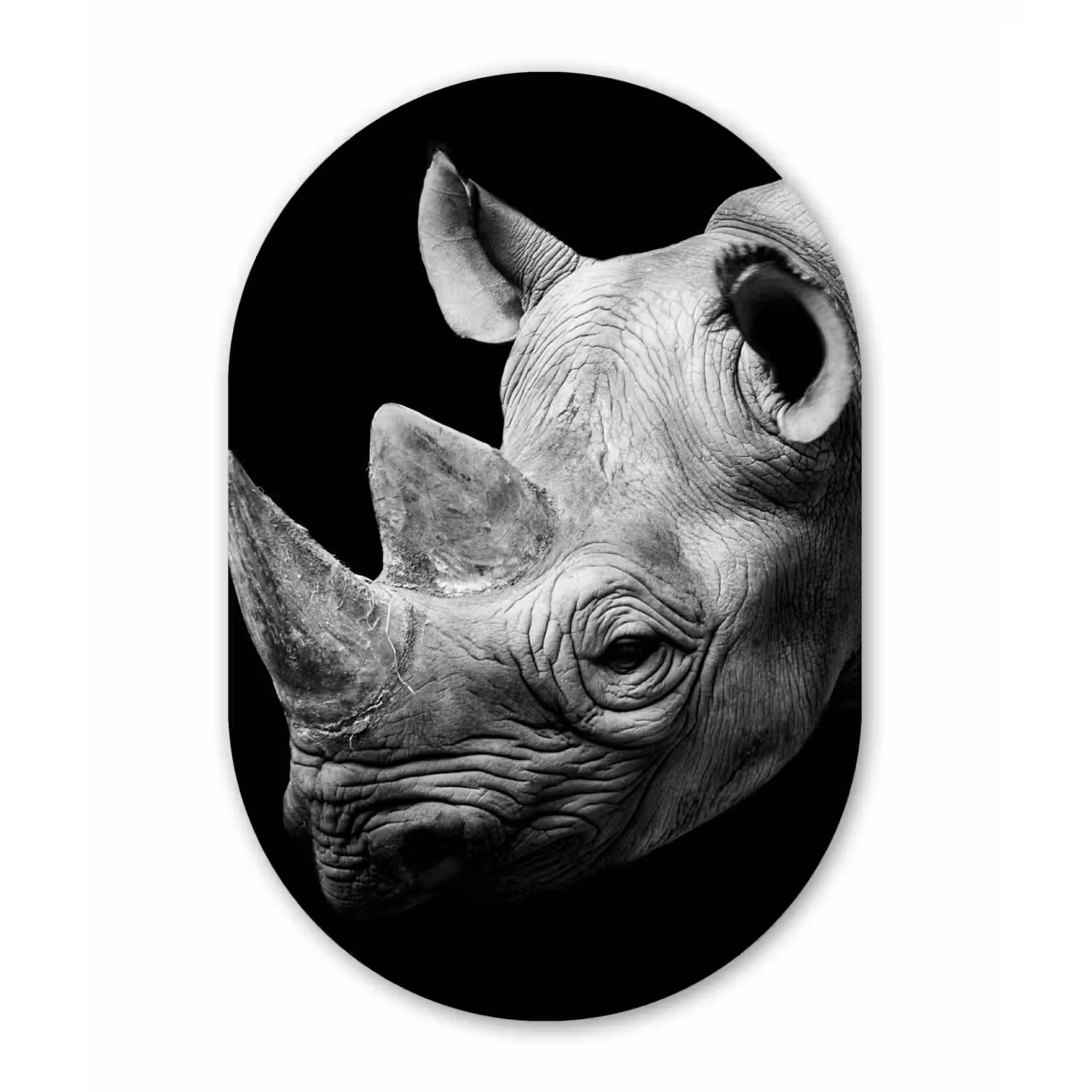Dieren - Neushoorn - Zwart - Wit - Portret Wandcirkel Ovaal Forex klein -3d