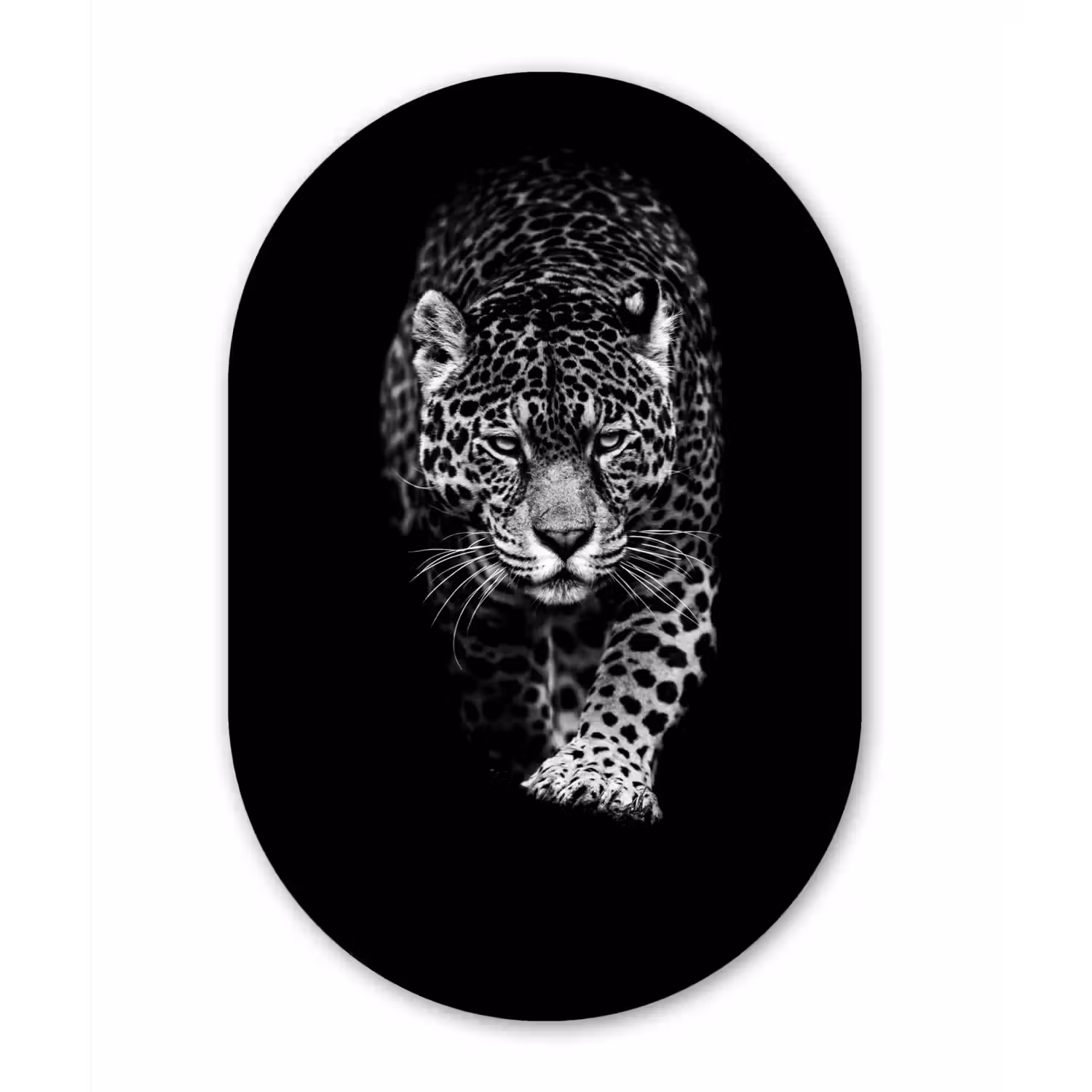 Dieren - Zwart - Luipaard - Wit - Wild Wandcirkel Ovaal Forex klein -3d