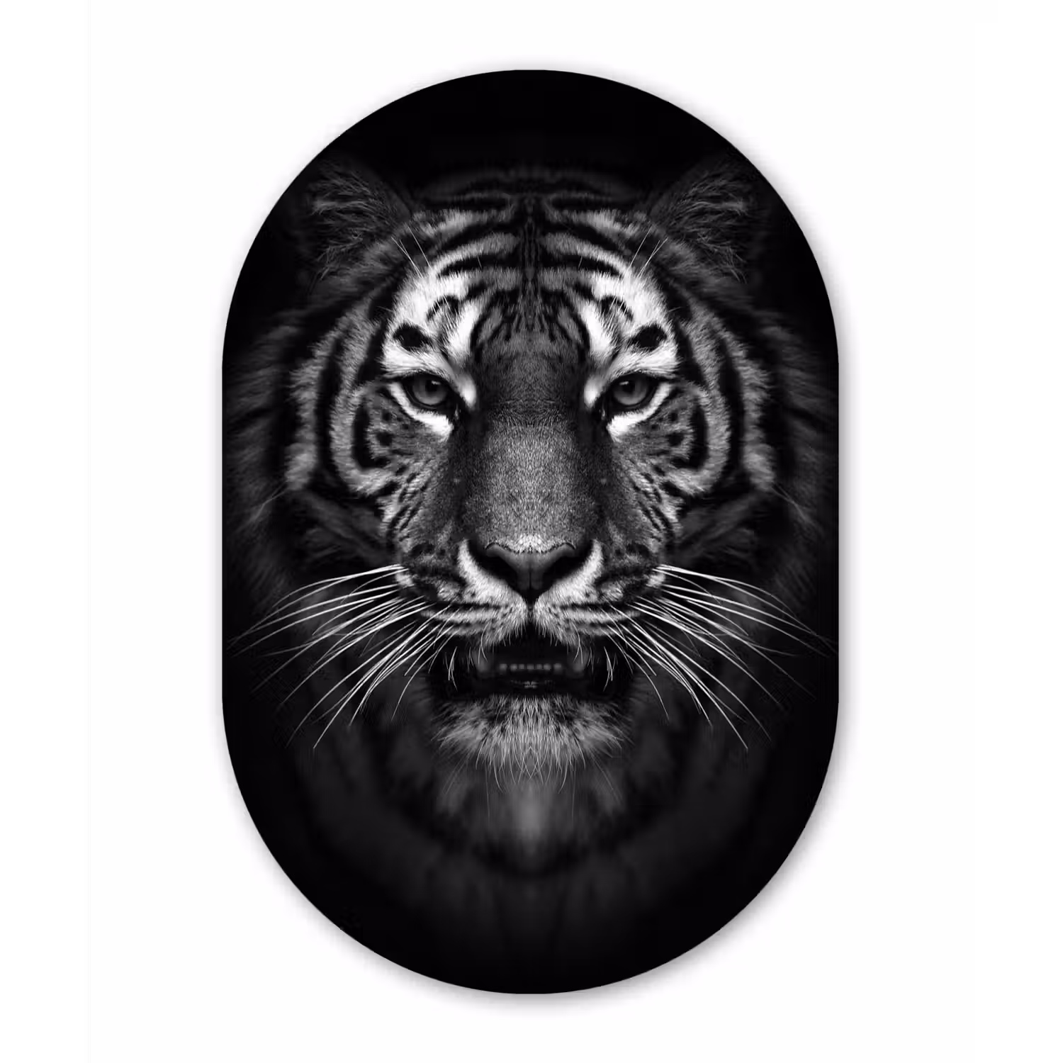 Tijger - Dieren - Zwart - Wit - Portret - Wild Wandcirkel Ovaal Forex klein -3d
