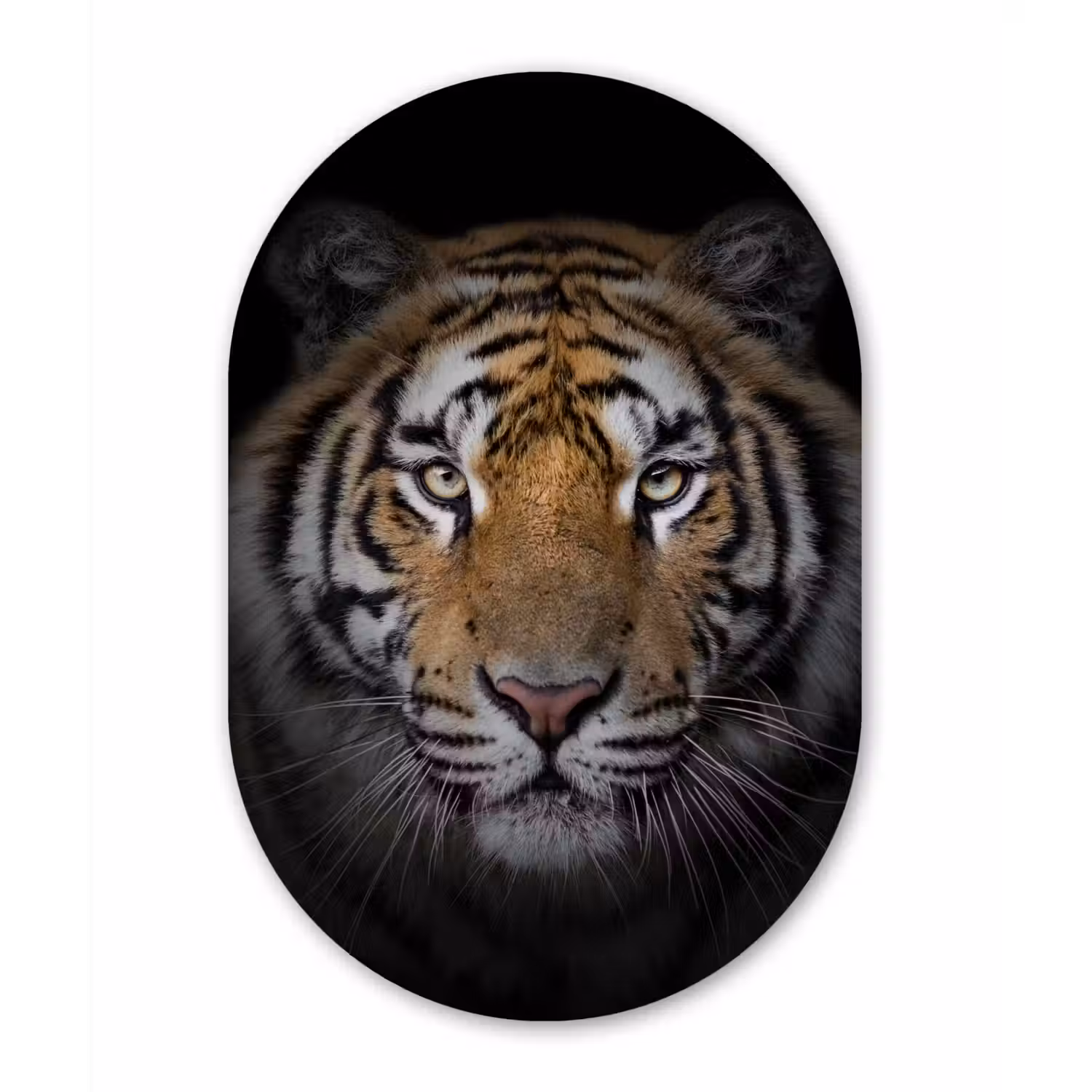 Tijger - Wilde dieren - Portret - Zwart - Dieren Wandcirkel Ovaal Forex klein -3d