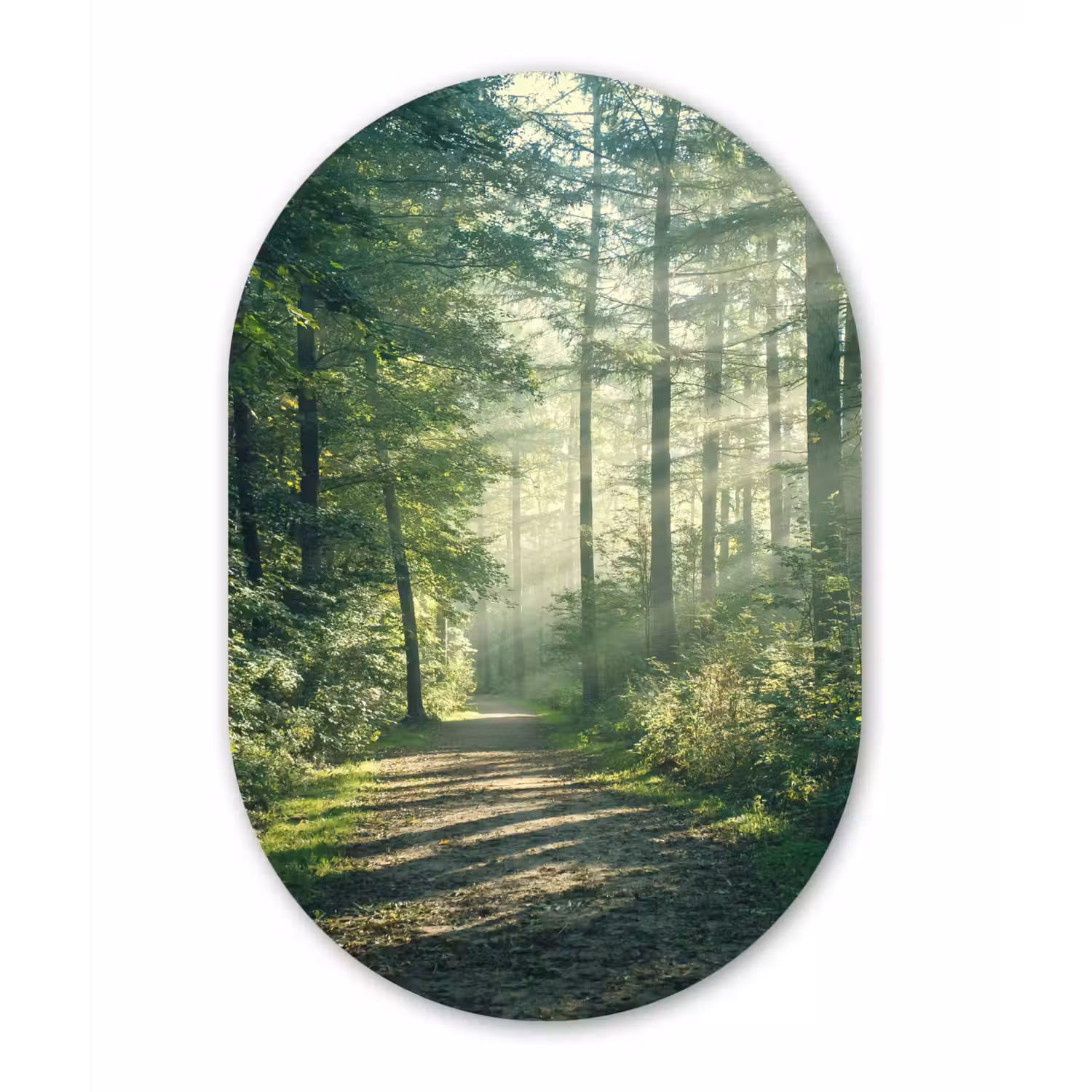 Bos - Pad - Zon - Bomen - Groen - Natuur Wandcirkel Ovaal Forex klein -3d