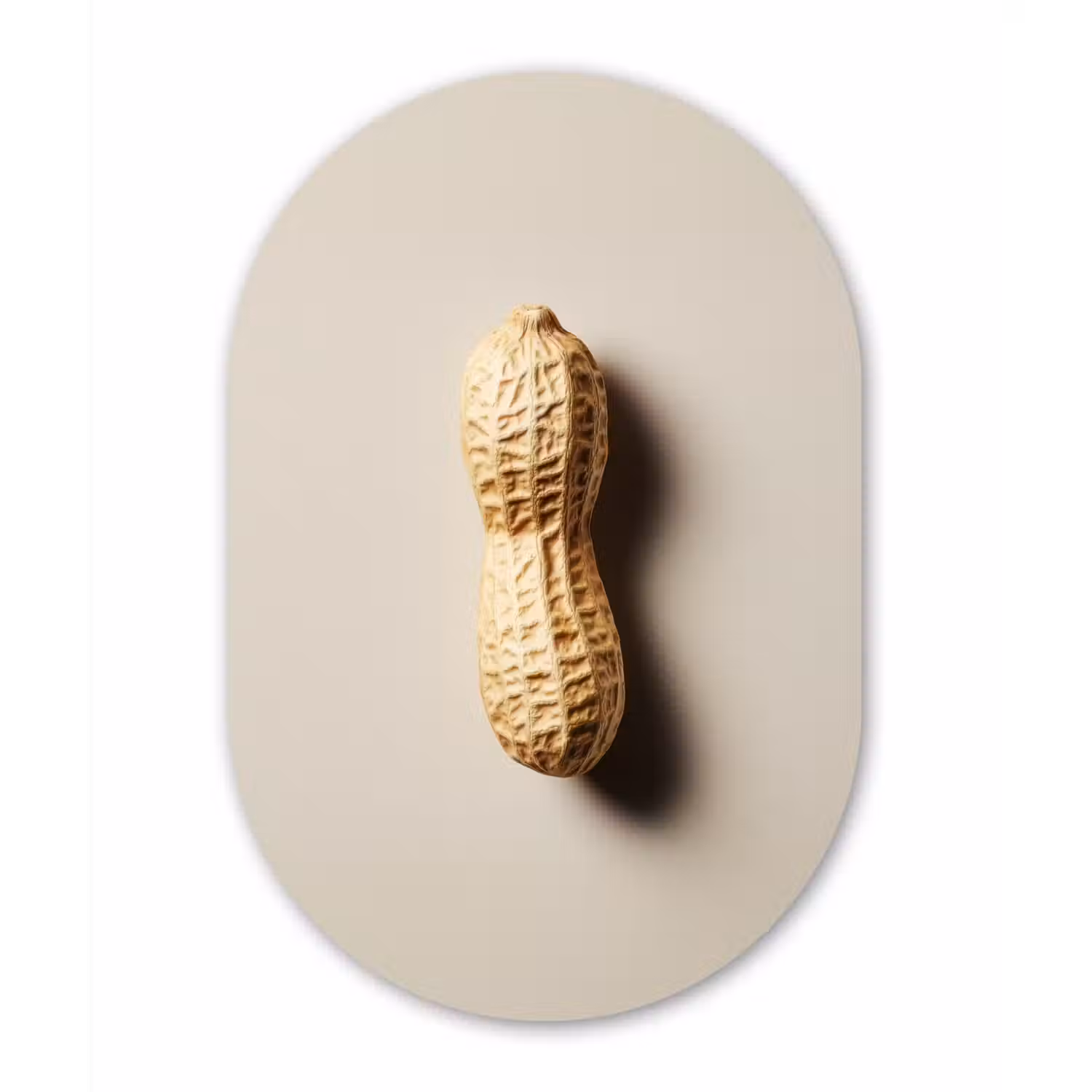 Pinda - Ruw - Beige Wandcirkel Ovaal Glas middel -3d