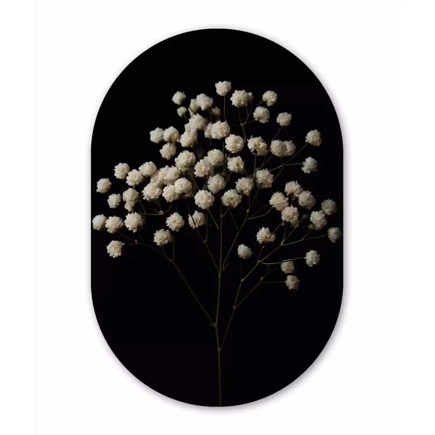 Gipskruid - Bloemetjes - Wit - Minimalistisch Wandcirkel Ovaal Glas middel -3d
