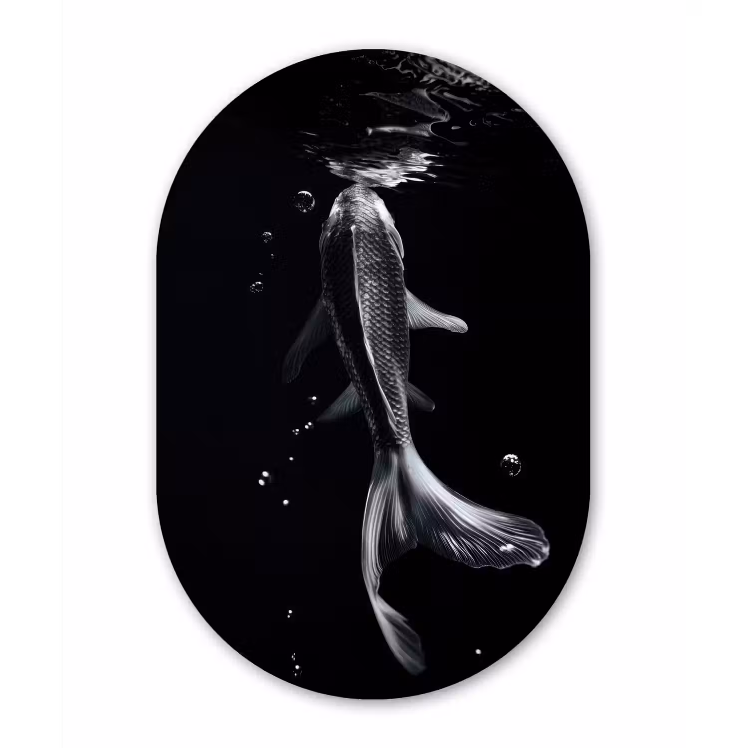 Koi - Vissen - Water - Zwart Wandcirkel Ovaal Glas middel -3d