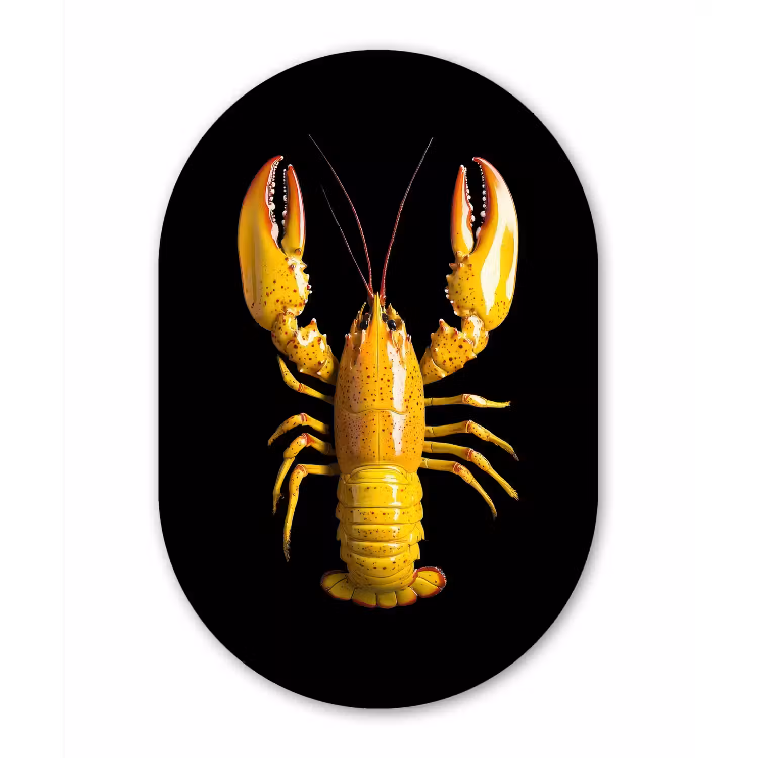 Kreeft - Geel - Stippen - Effen Wandcirkel Ovaal Glas middel -3d