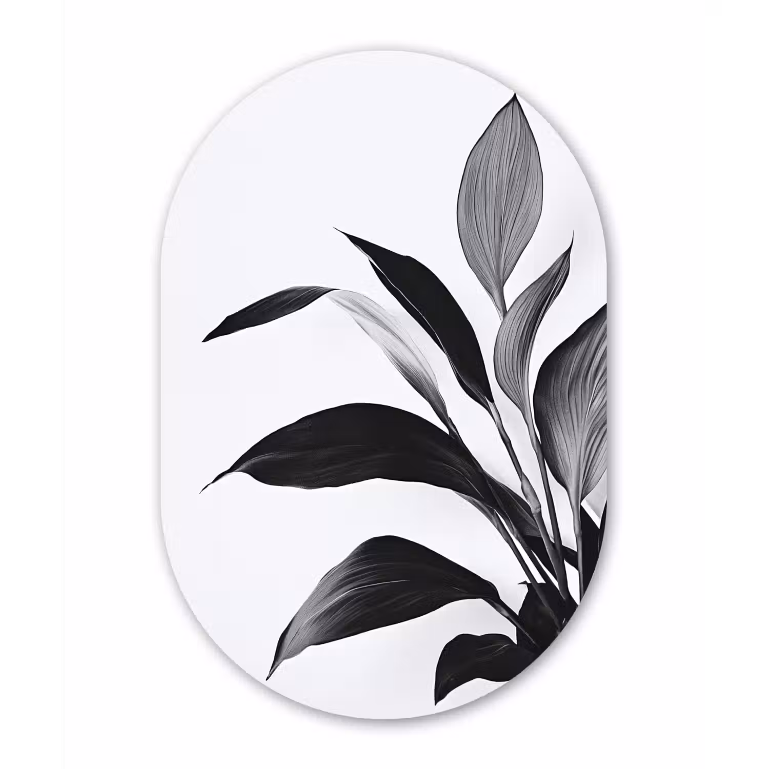 Plant - Bladeren - Minimalistisch - Zwart Wandcirkel Ovaal Glas middel -3d