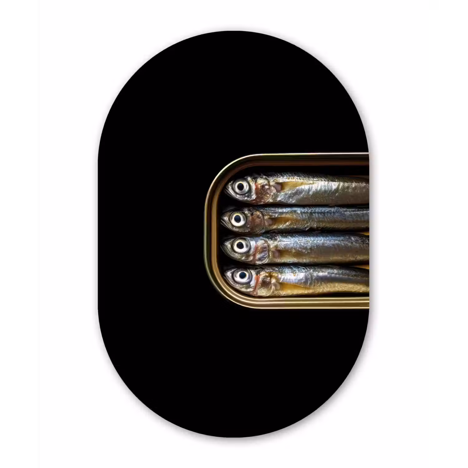 Sardines - Blik - Zwart - Vissen Wandcirkel Ovaal Glas middel -3d