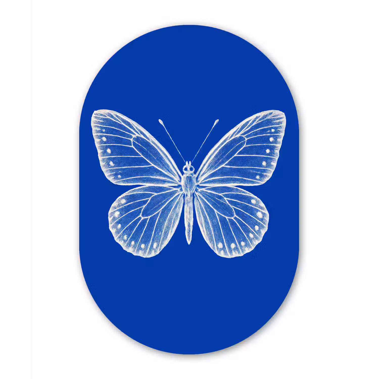 Vlinder - Wit - Getekend - Stippen Wandcirkel Ovaal Glas middel -3d