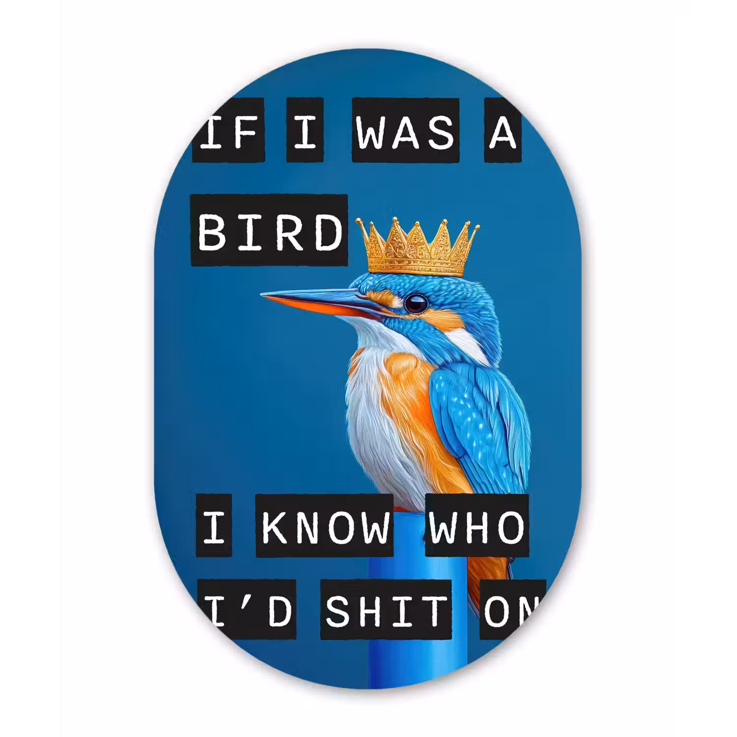 Vogel - Decoratie - Ijsvogel - Blauw Wandcirkel Ovaal Glas middel -3d