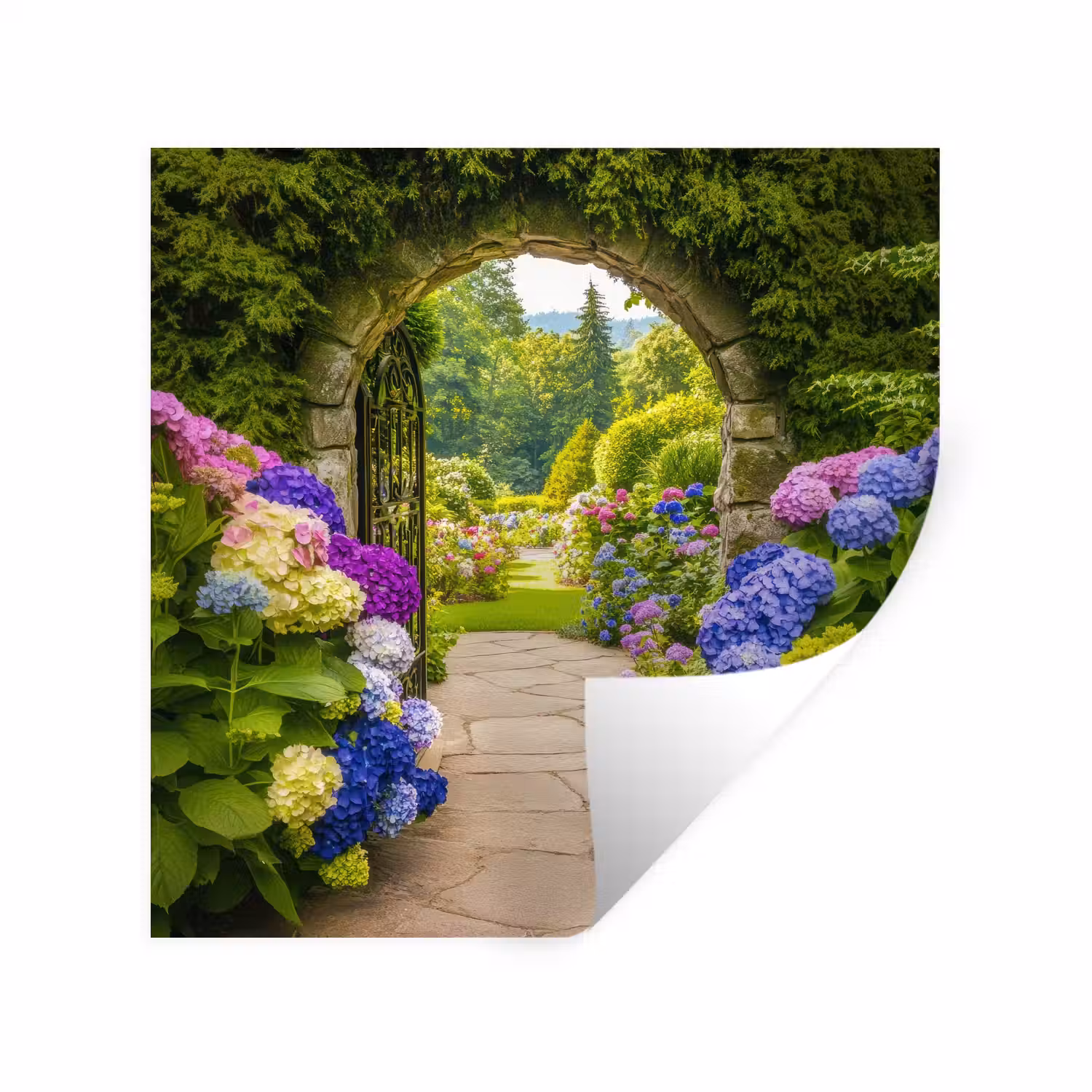 Doorkijk - Poort - Hortensia - Bloementuin Muursticker klein -3d