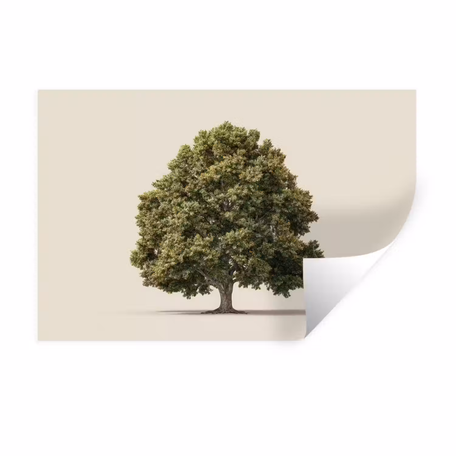 Eikenboom - Groen - Lichte achtergrond Muursticker klein -3d