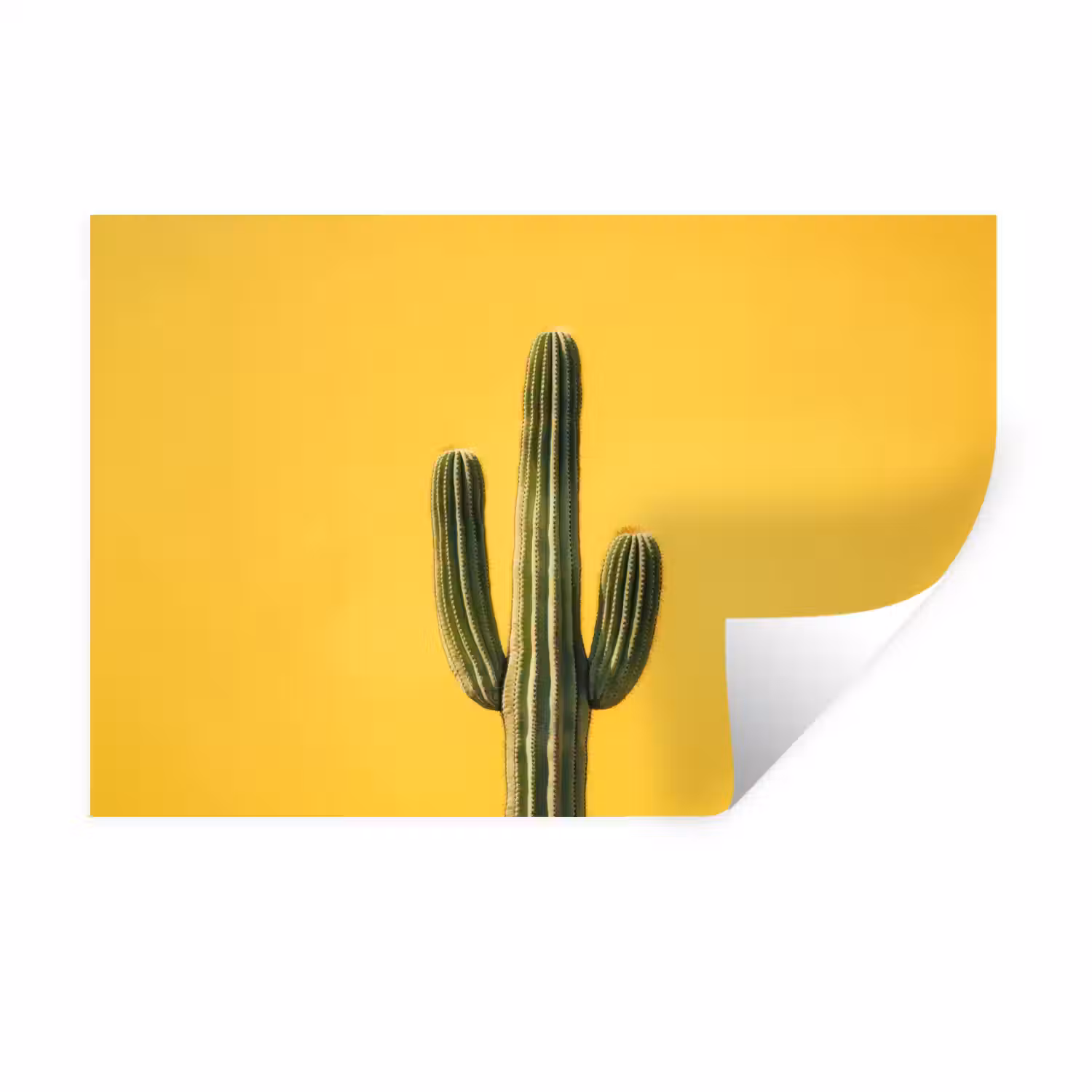 Cactus - Groen - Minimalistisch Muursticker klein -3d