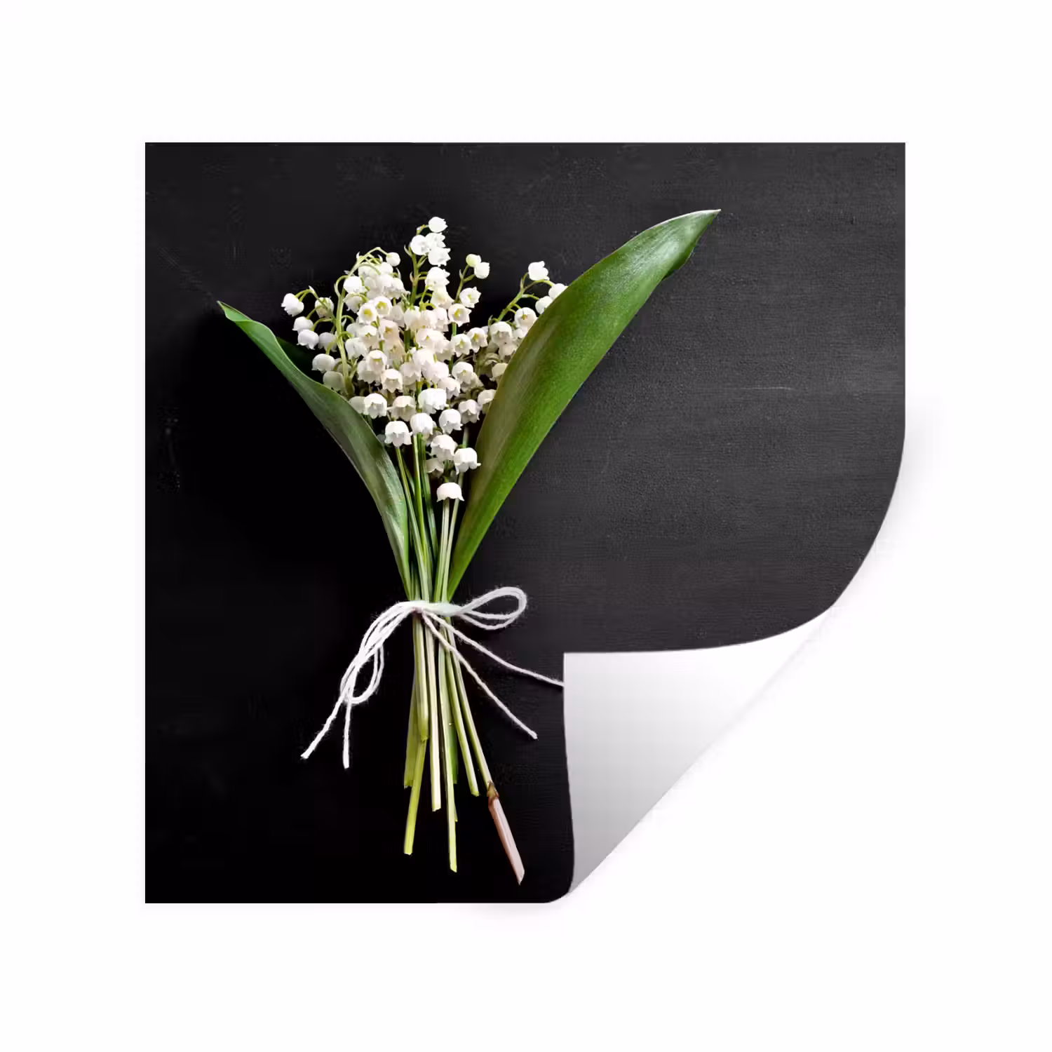 Lelietjes van dalen - Bloemen - Stilleven - Flora Muursticker klein -3d