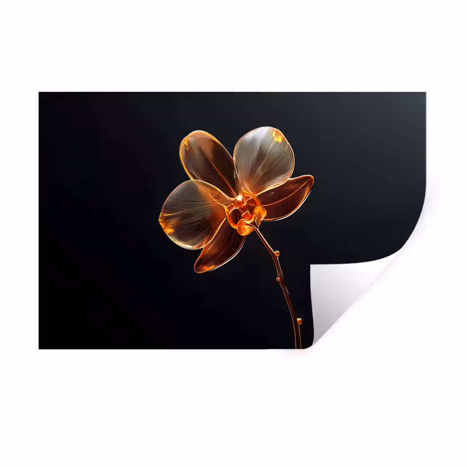 Orchidee - Doorzichtig - Bloem Muursticker klein -3d