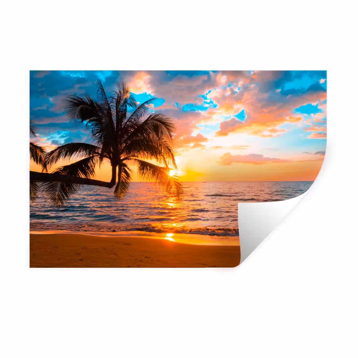 Palme - Sonnenuntergang - Horizont - Strand - Meer - Tropisch Muursticker klein -3d