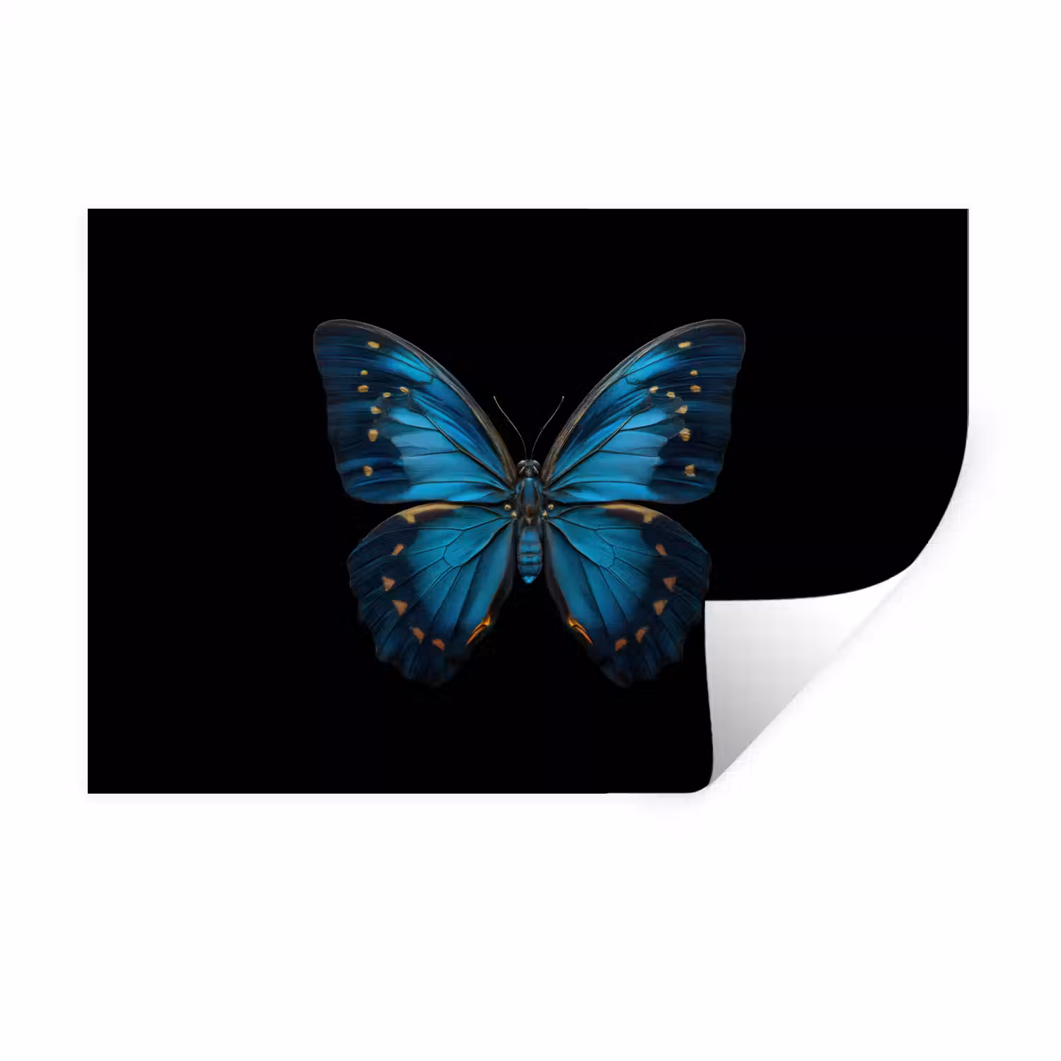 Vlinder - Blauw - Contrast Muursticker klein -3d
