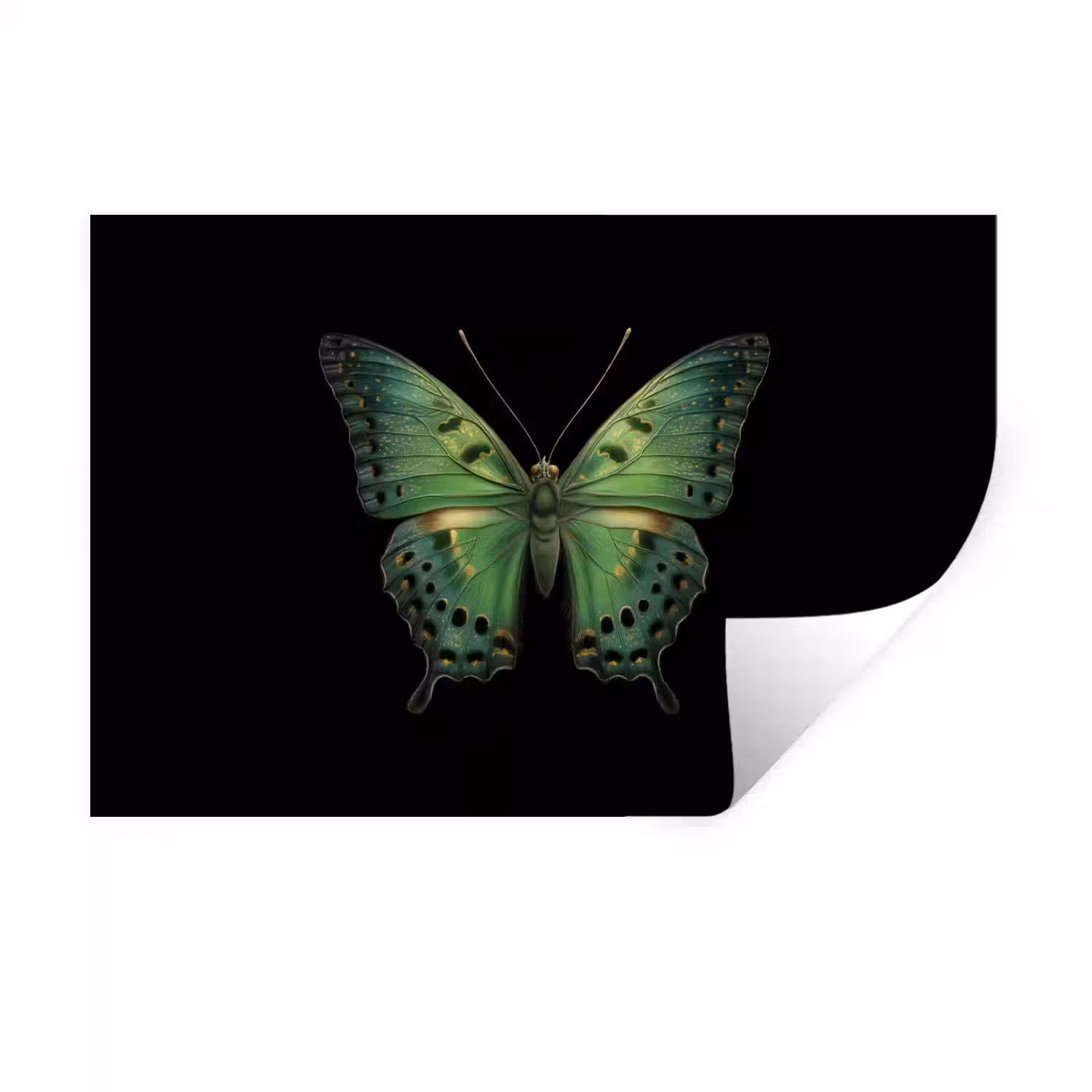 Vlinder - Groen - Diepte Muursticker klein -3d